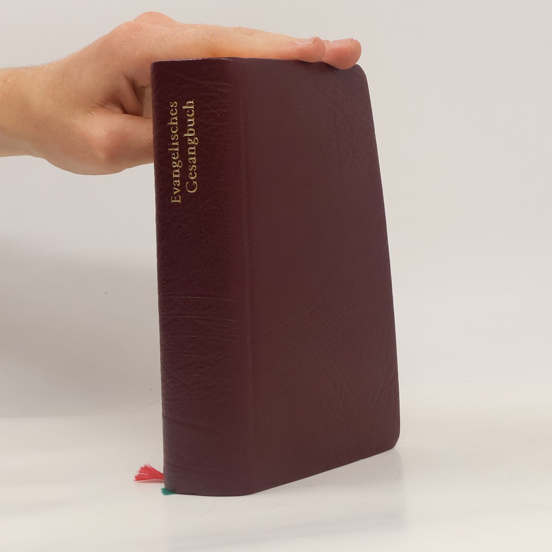 Kolektiv autorů Evangelisches Gesangbuch