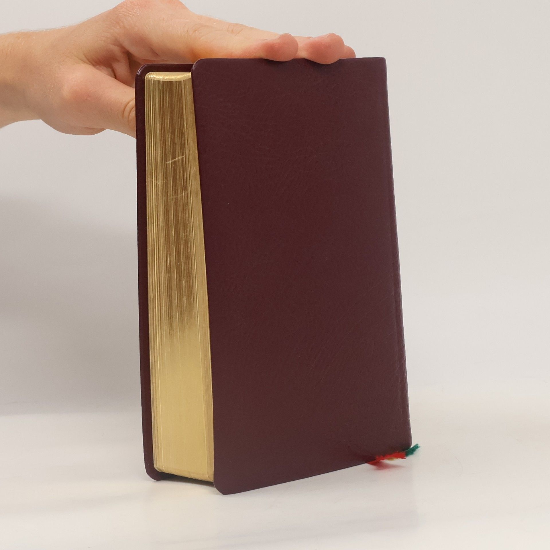 Kolektiv autorů Evangelisches Gesangbuch