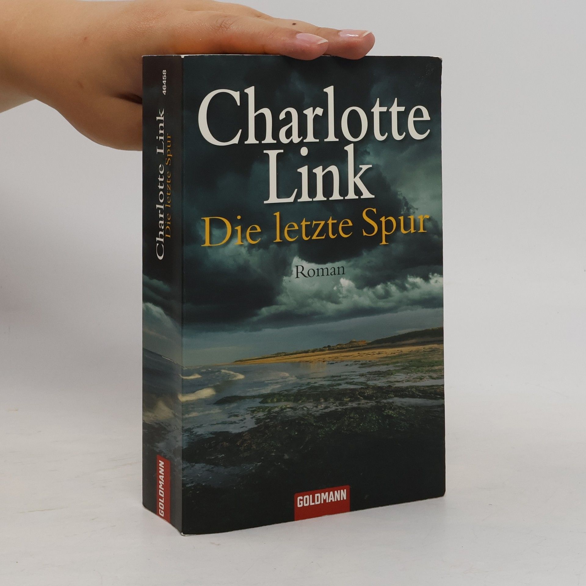 Charlotte Link Die letzte Spur