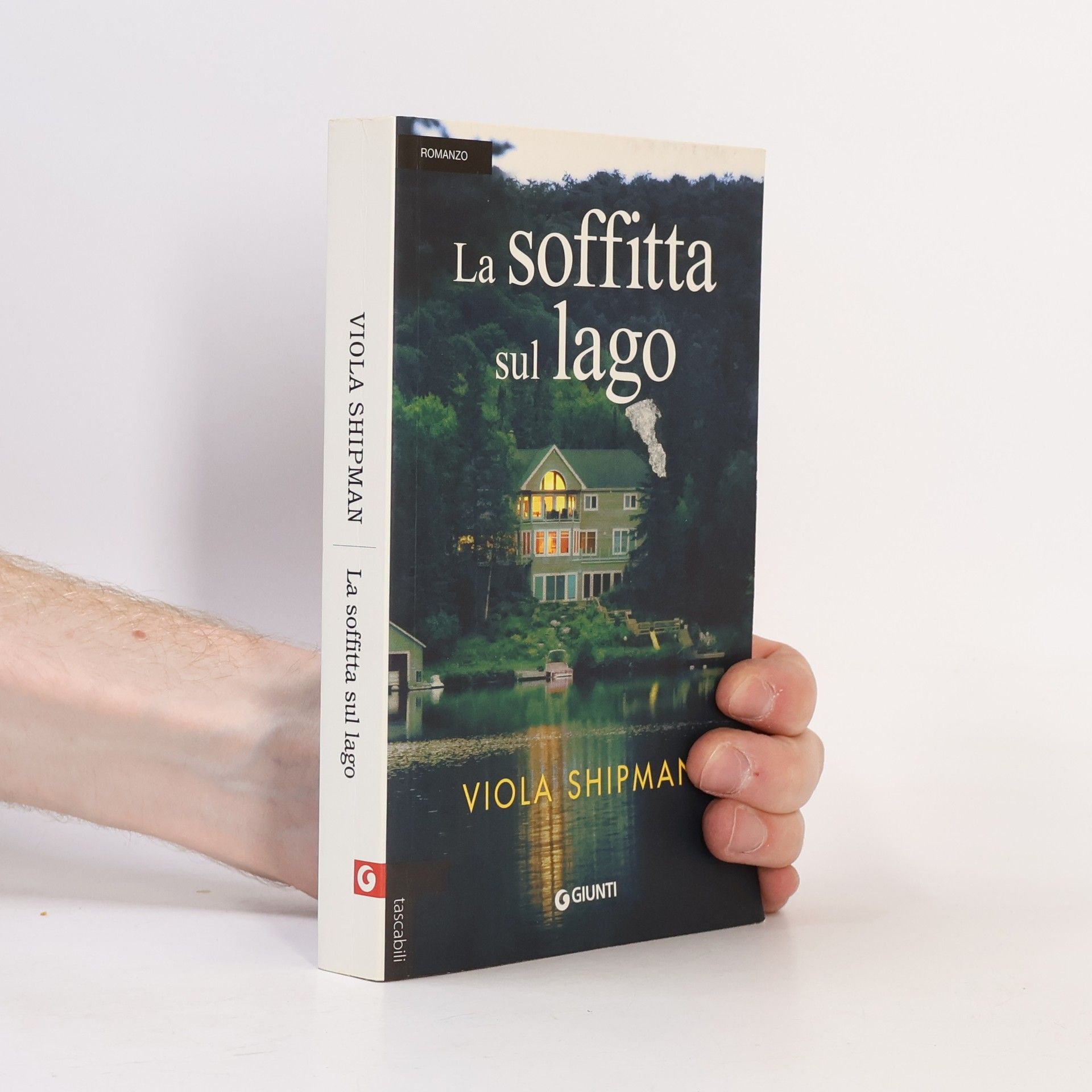 Viola Shipman La soffitta sul lago