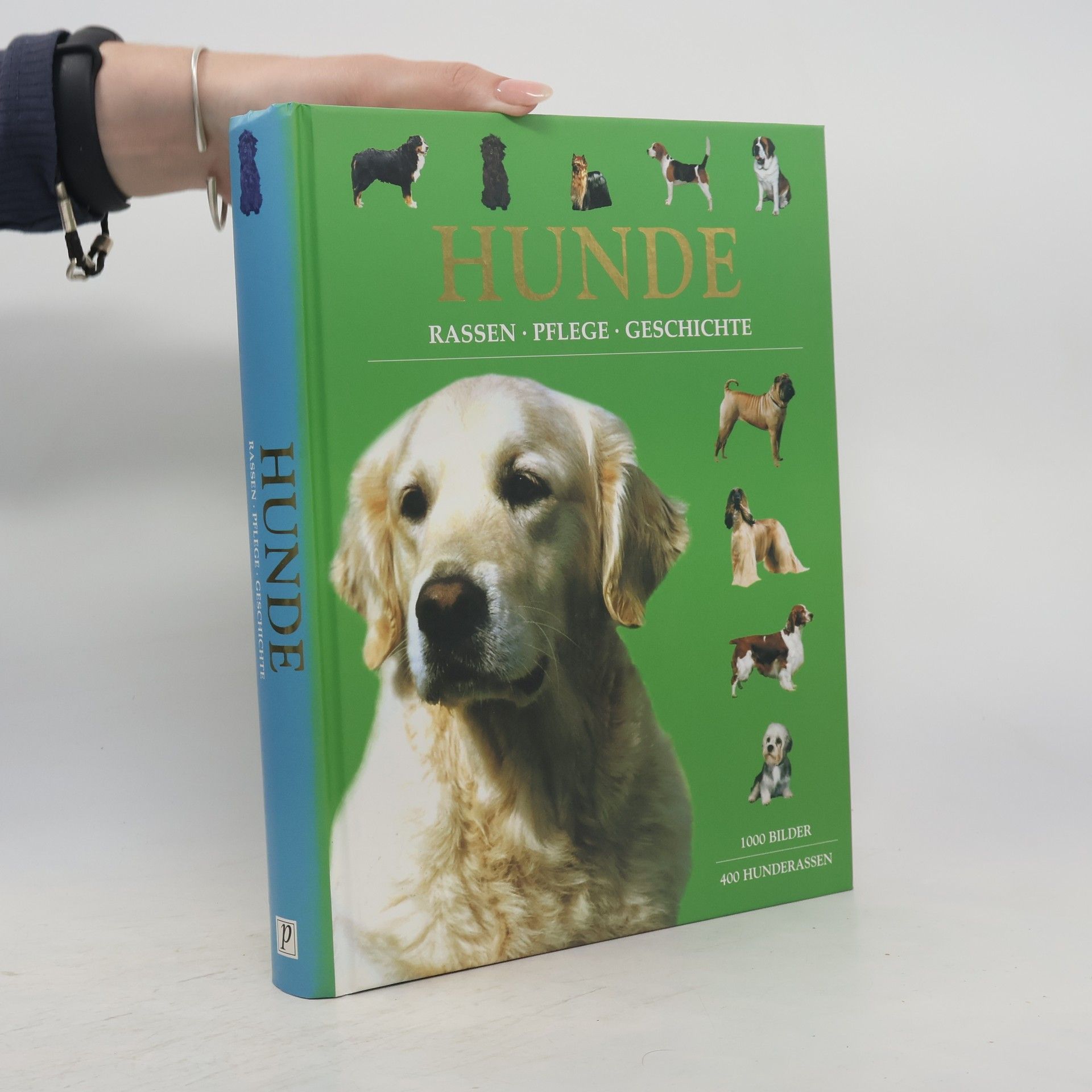 Autorenkollektiv Hunde