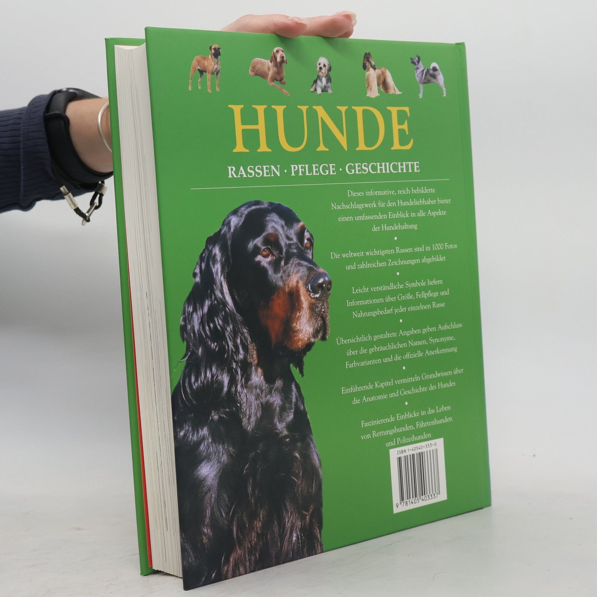 Autorenkollektiv Hunde