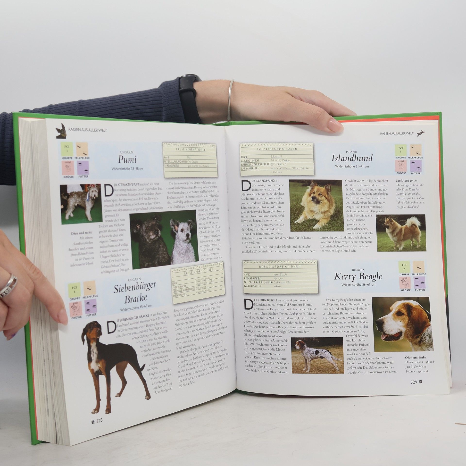 Autorenkollektiv Hunde