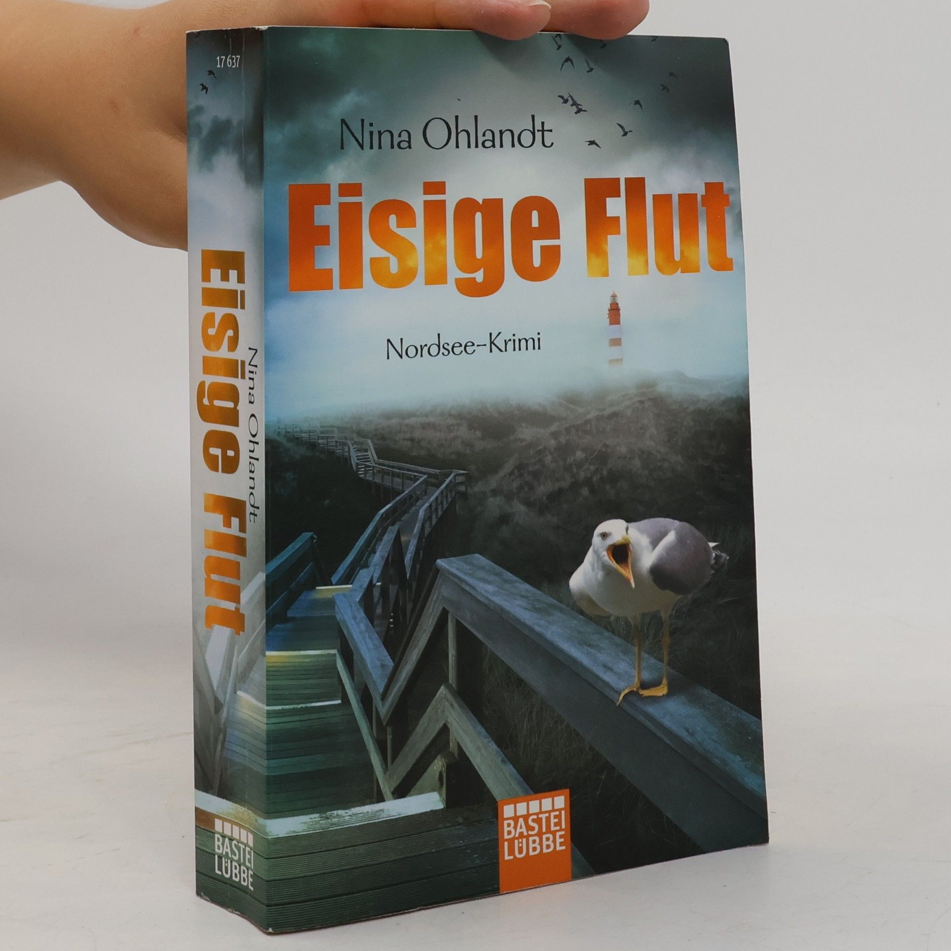 Nina Ohlandt Eisige Flut
