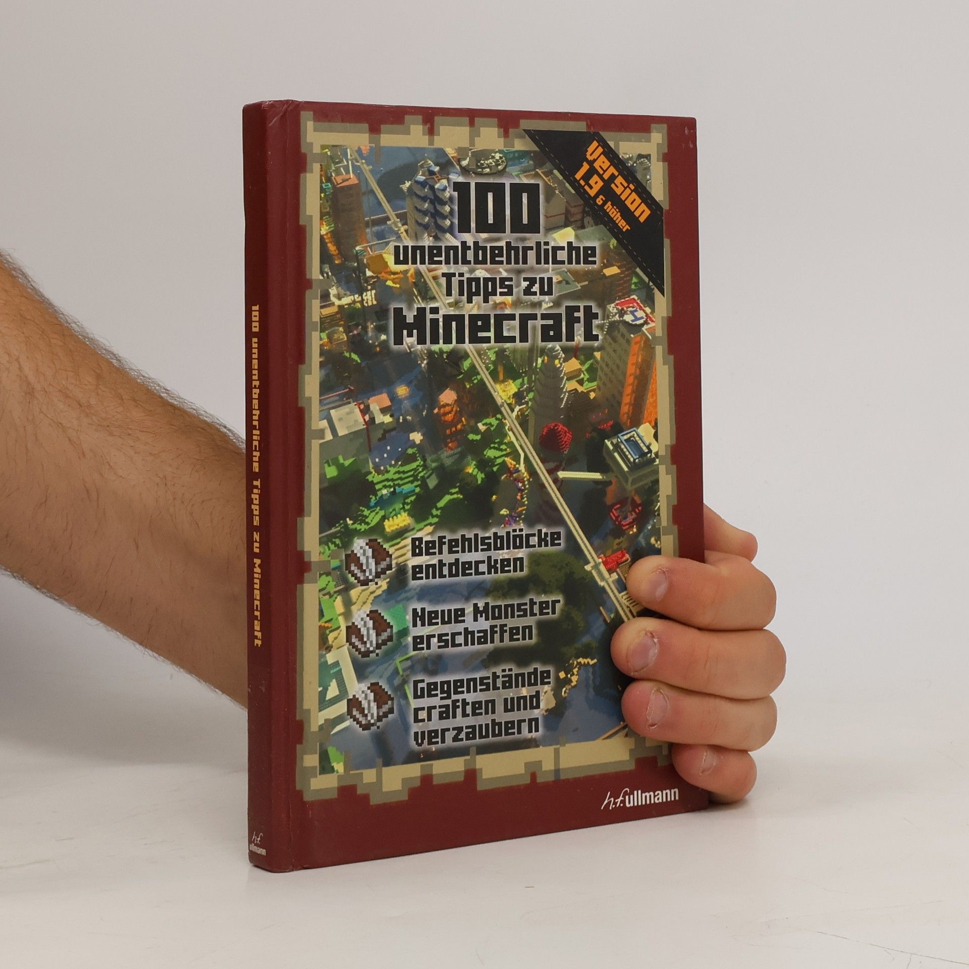 Stéphane Pilet 100 unentbehrliche Tipps zu Minecraft