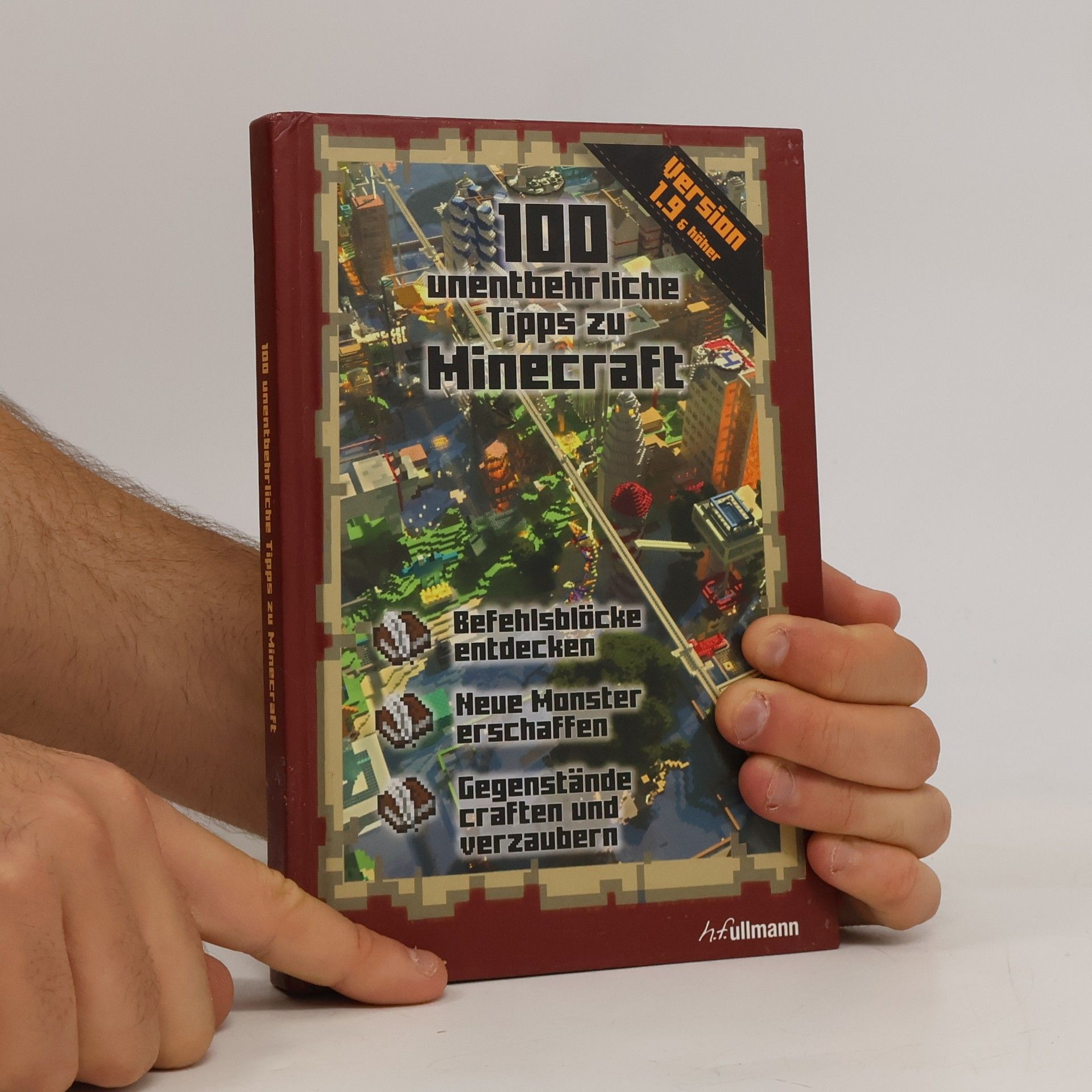 Stéphane Pilet 100 unentbehrliche Tipps zu Minecraft