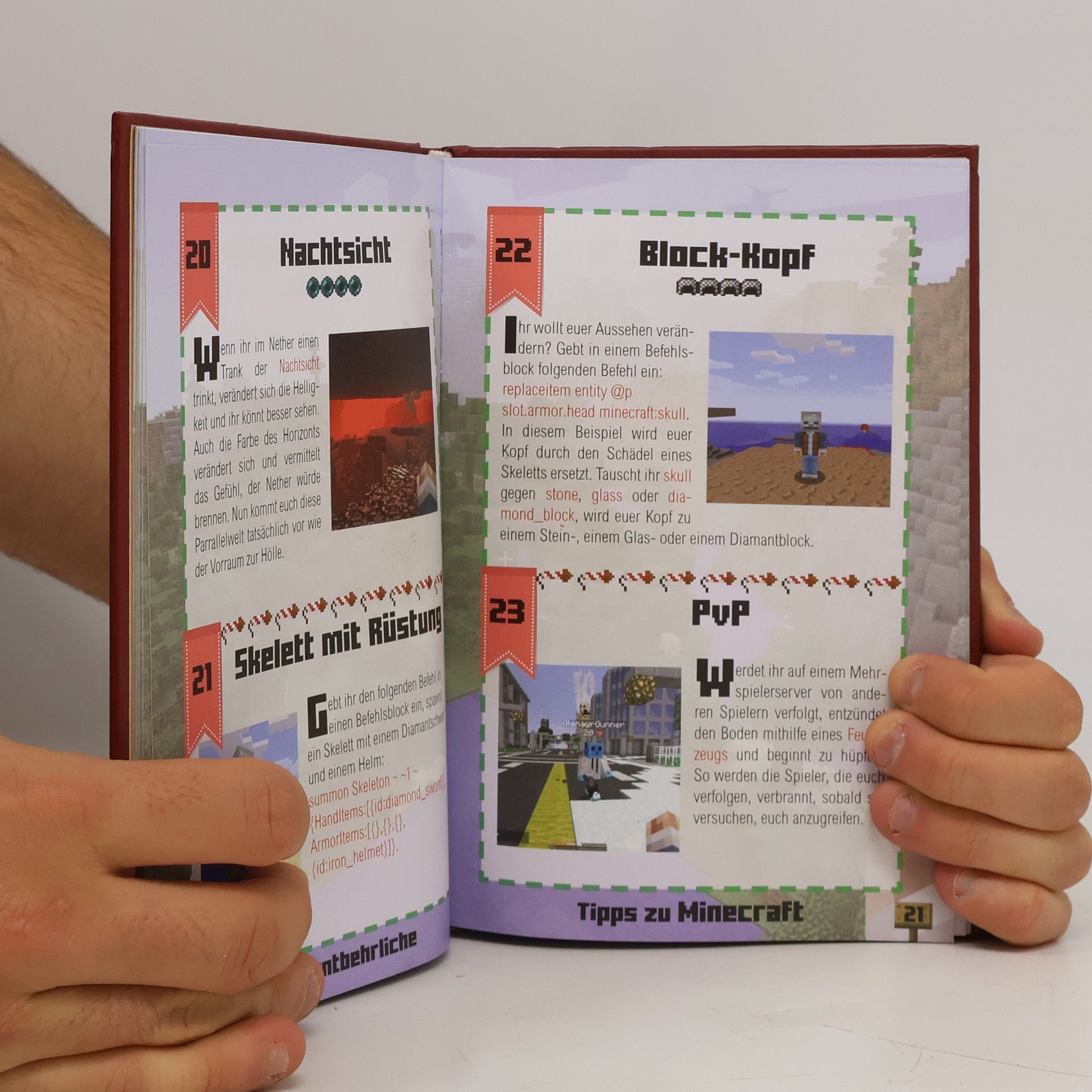 Stéphane Pilet 100 unentbehrliche Tipps zu Minecraft
