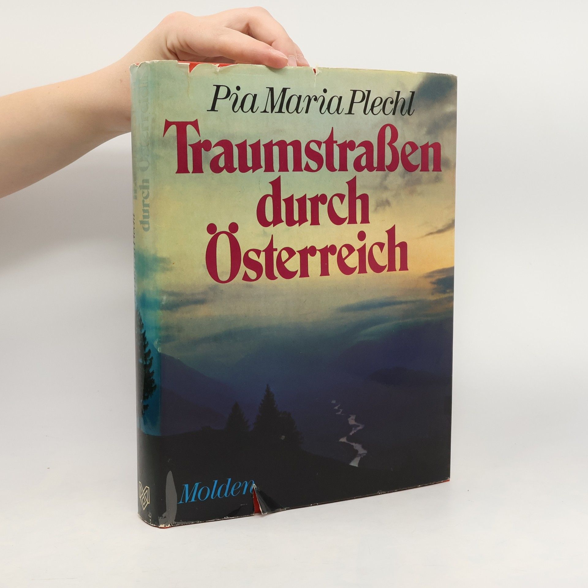 Pia Maria Plechl Traumstrassen durch Österreich