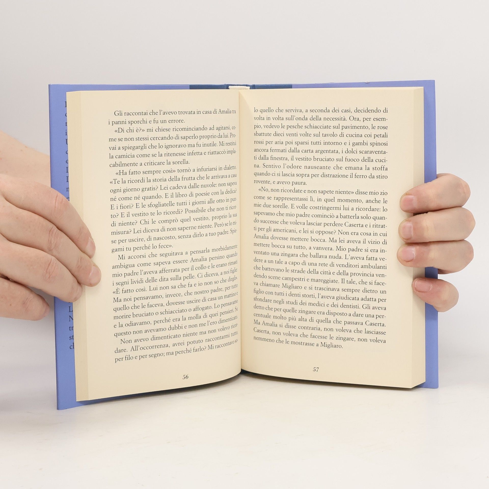 Elena Ferrante L'amore molesto