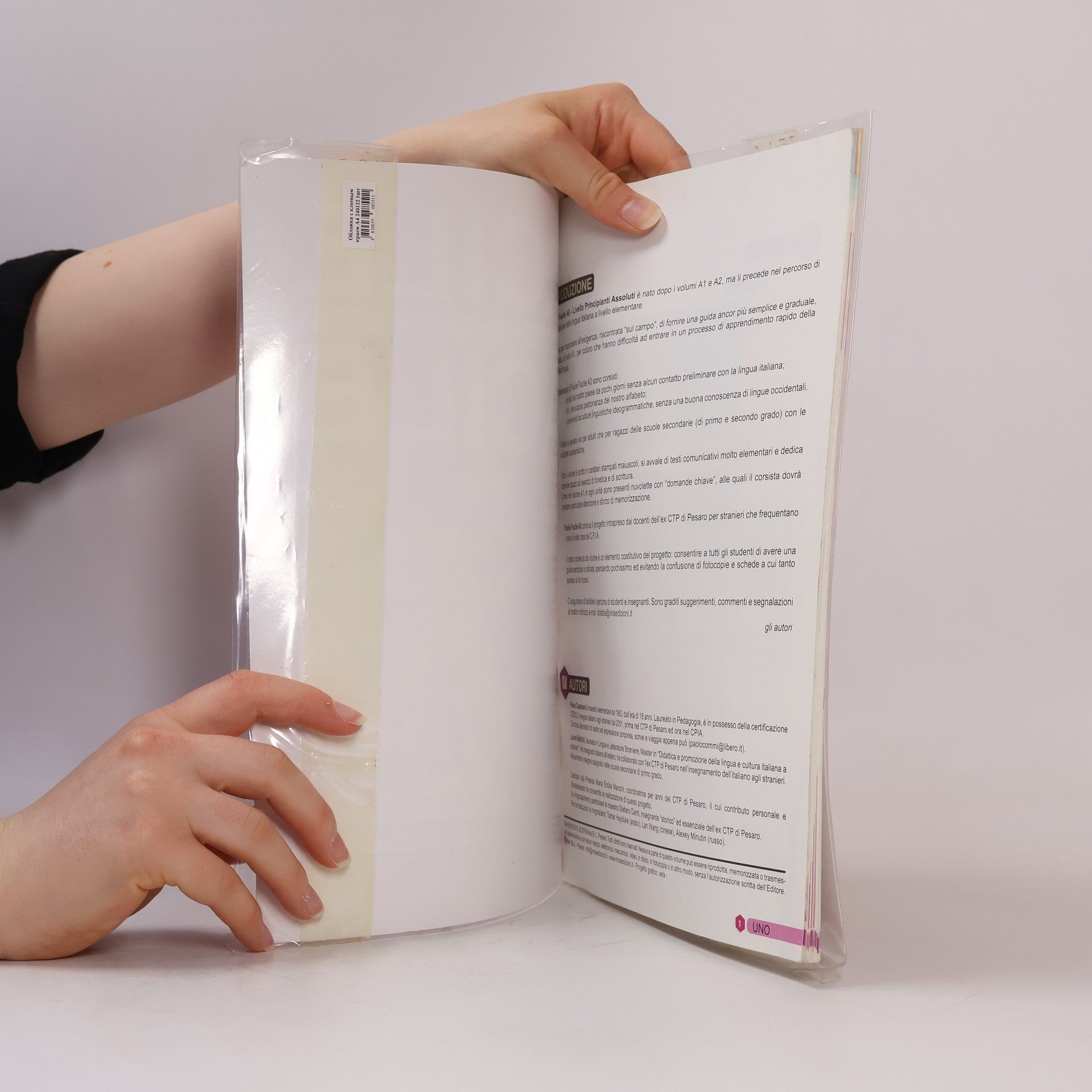 Laura Mattioli Facile facile. Libro di italiano per studenti stranieri. Livello principianti