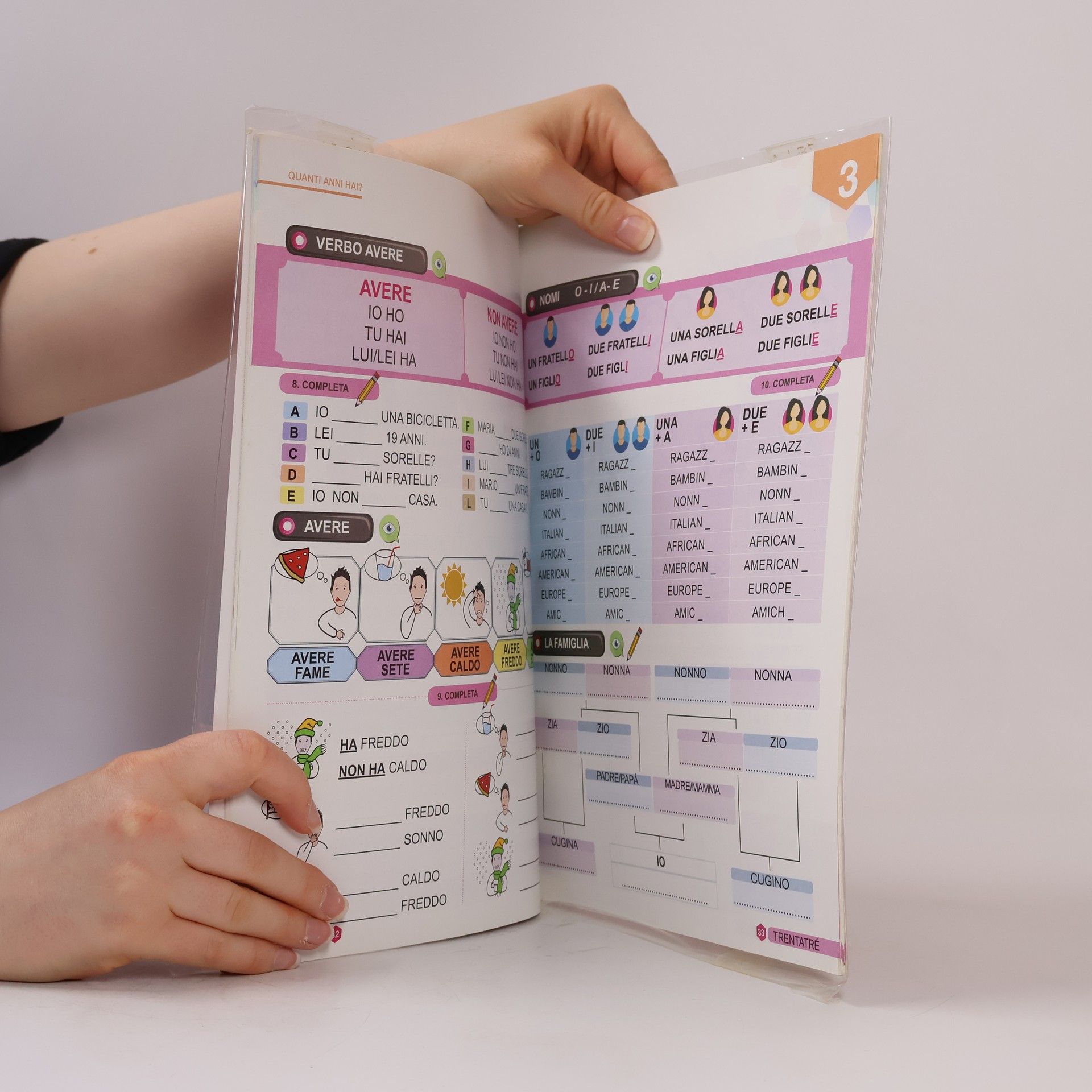 Laura Mattioli Facile facile. Libro di italiano per studenti stranieri. Livello principianti