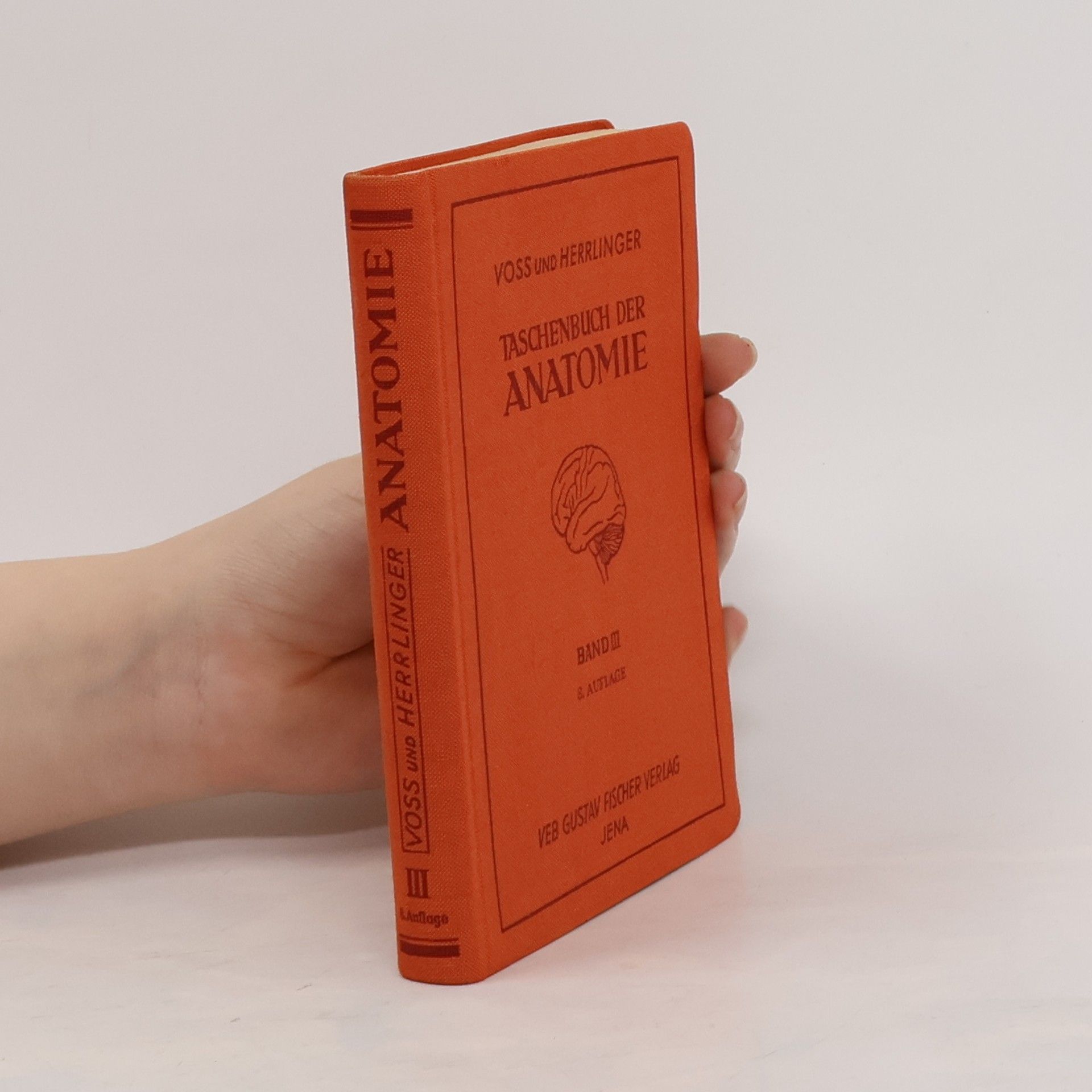 Taschenbuch der Anatomie III