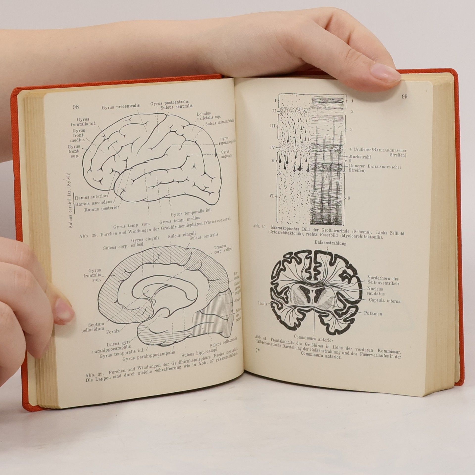 Hermann Voss Taschenbuch der Anatomie III