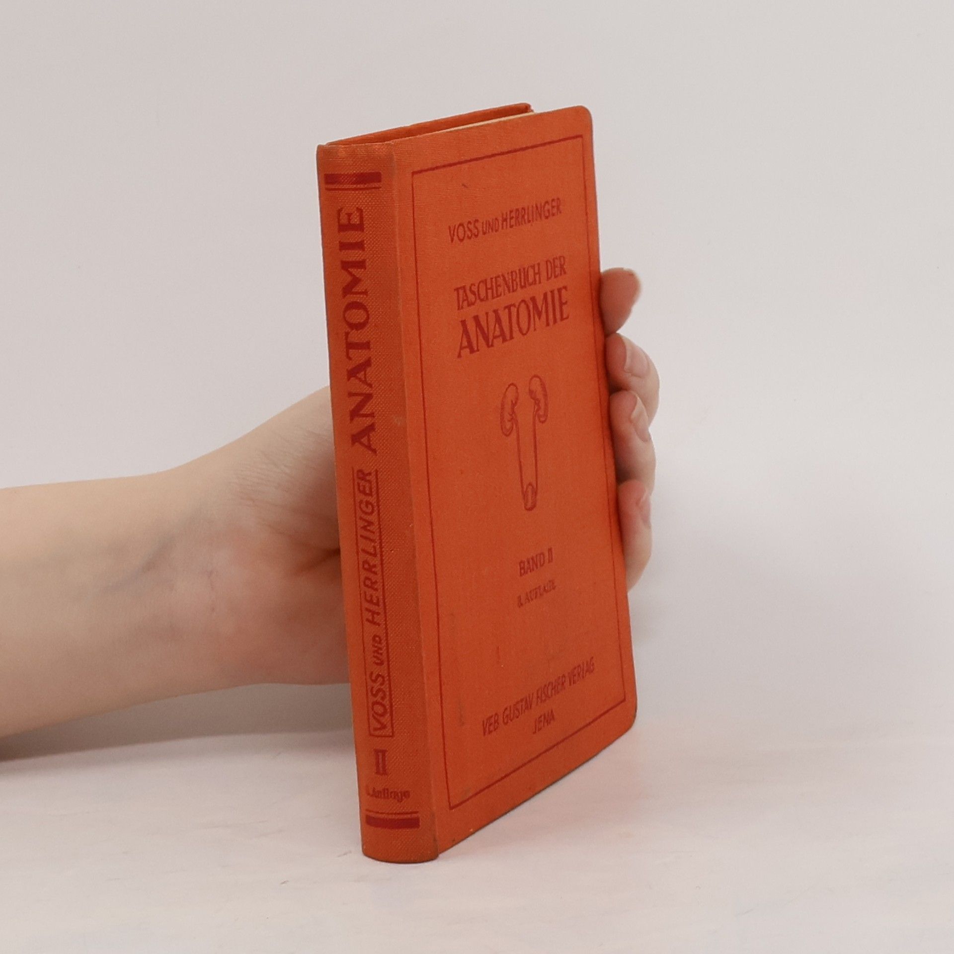 Robert Herrlinger Taschenbuch der Anatomie. Band II