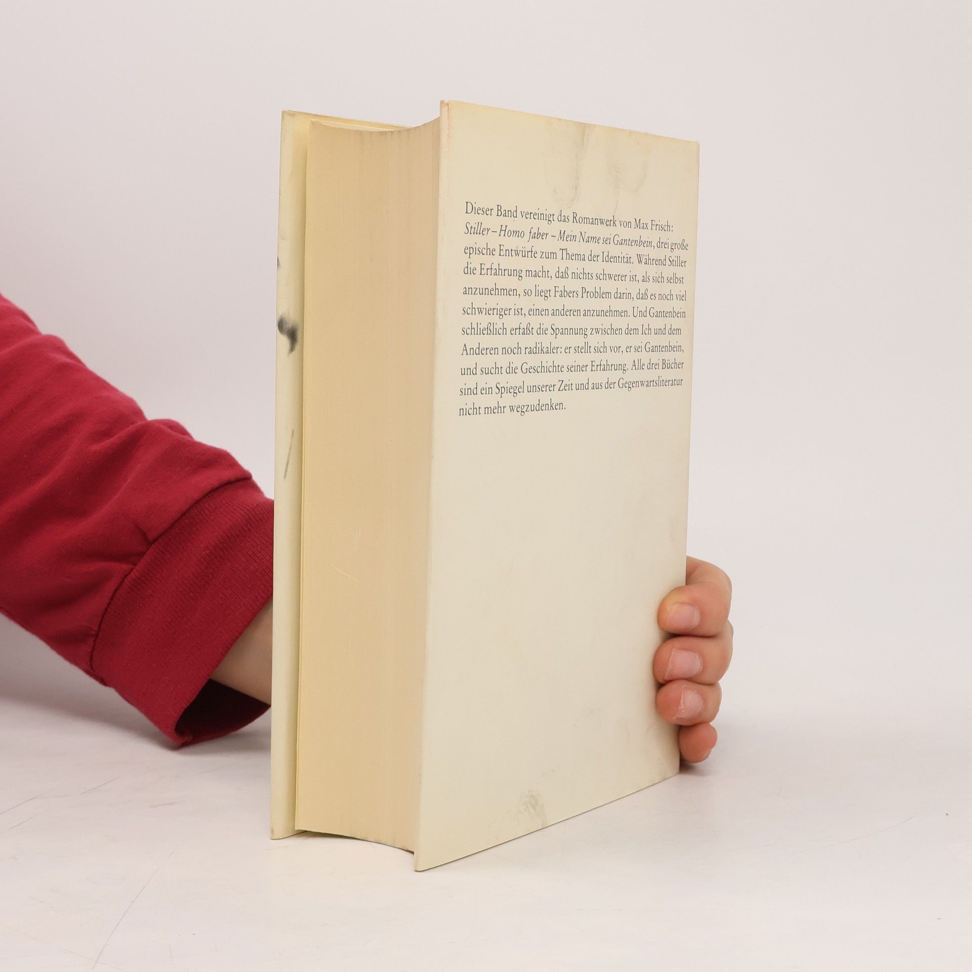 Max Frisch Die Romane
