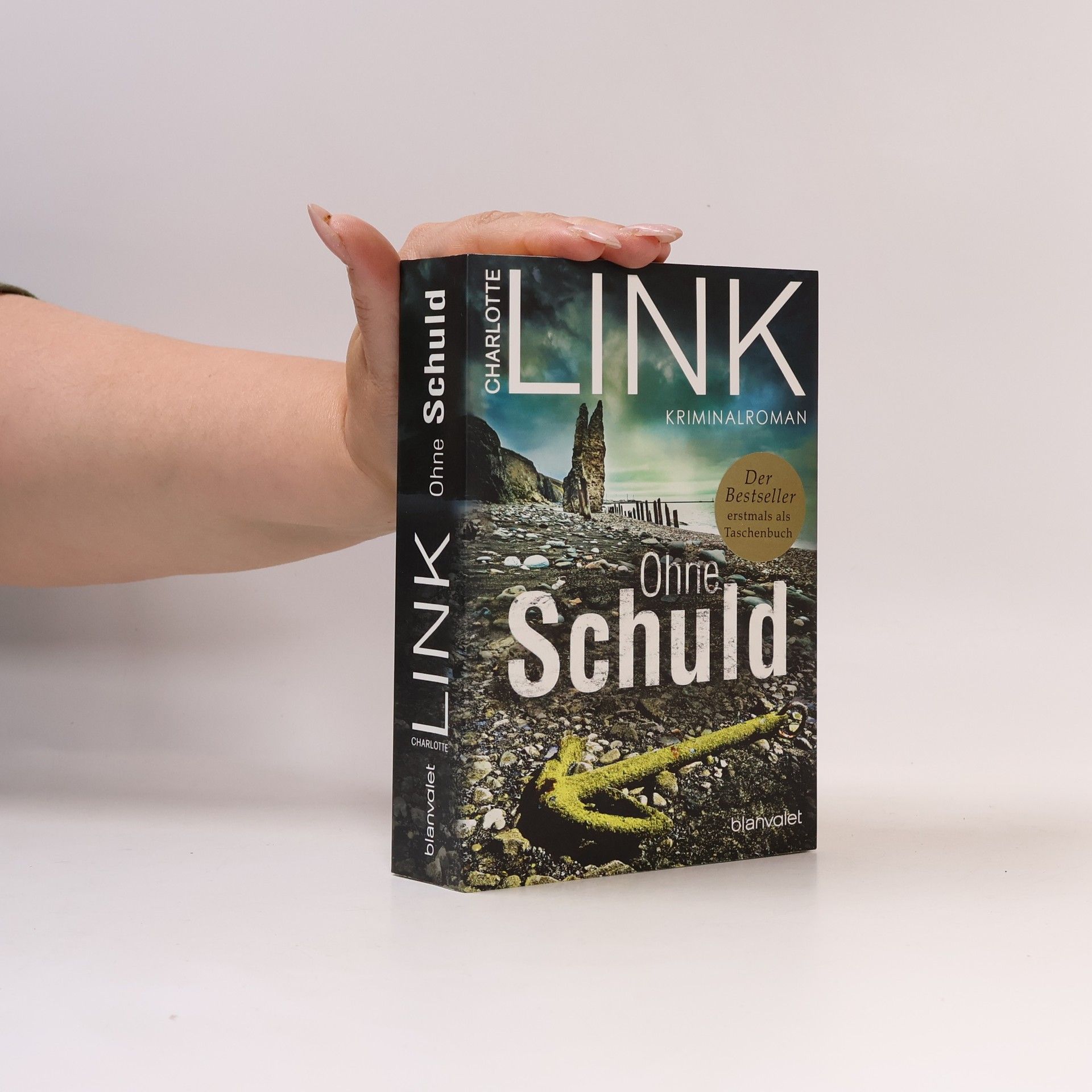 Charlotte Link Ohne Schuld