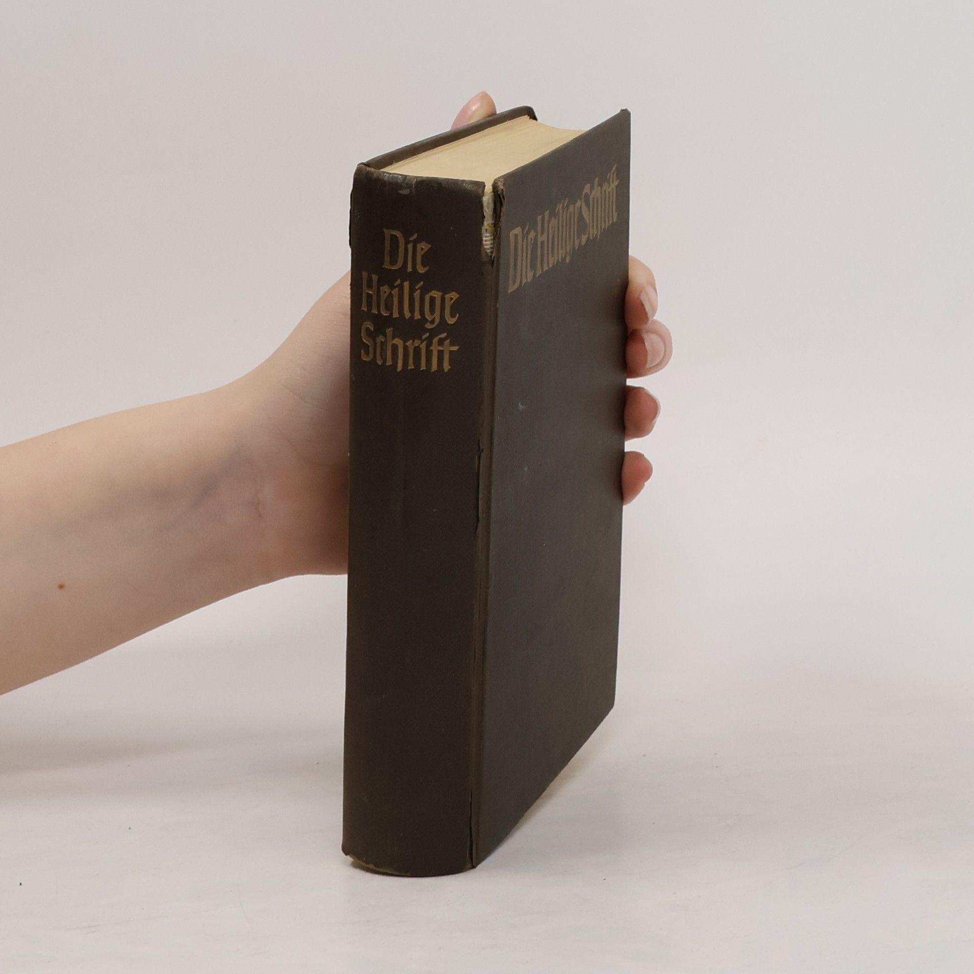 Martin Luther Die Heilige Schrift