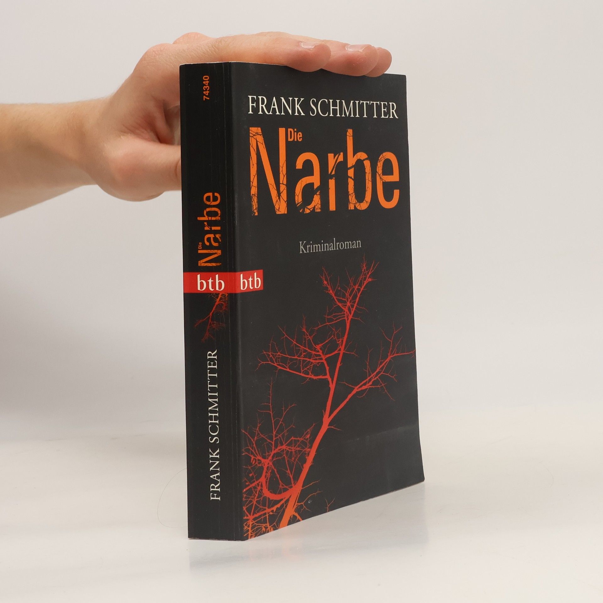 Frank Schmitter Die Narbe
