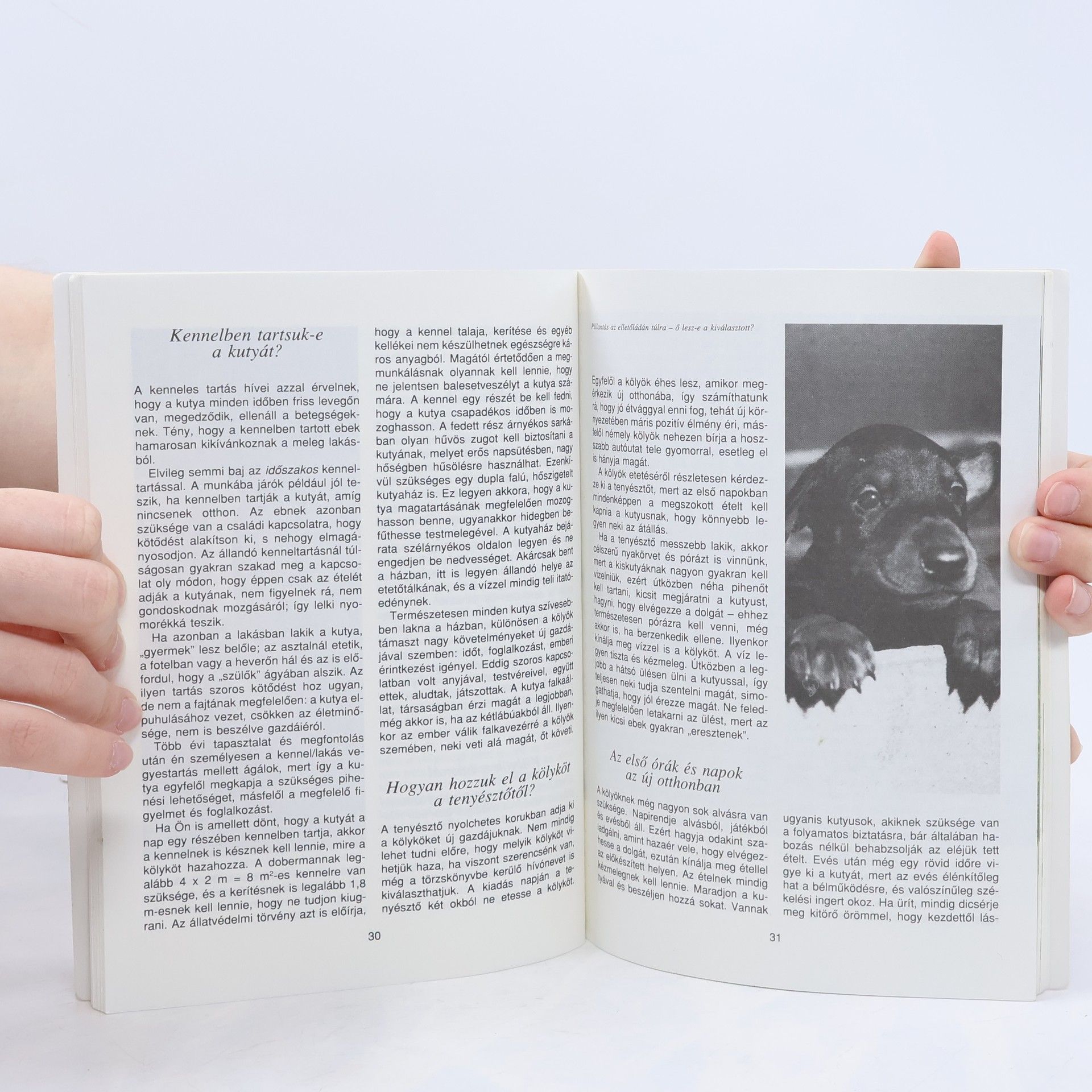 Reinhild Klein-Hessling A Dobermann