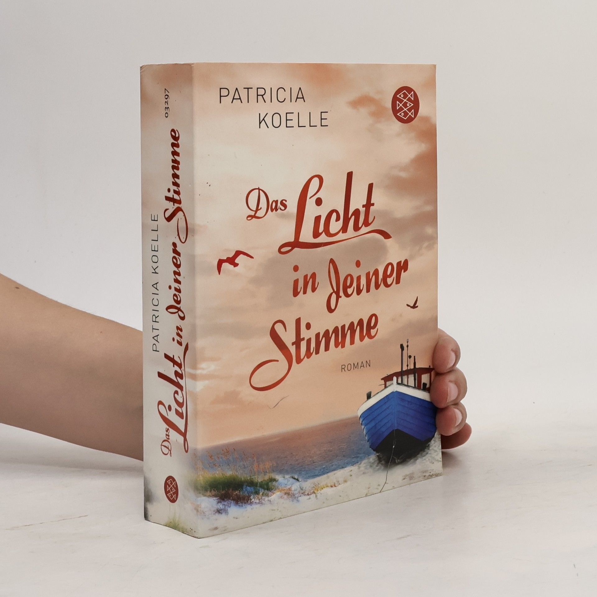 Patricia Koelle Das Licht in deiner Stimme