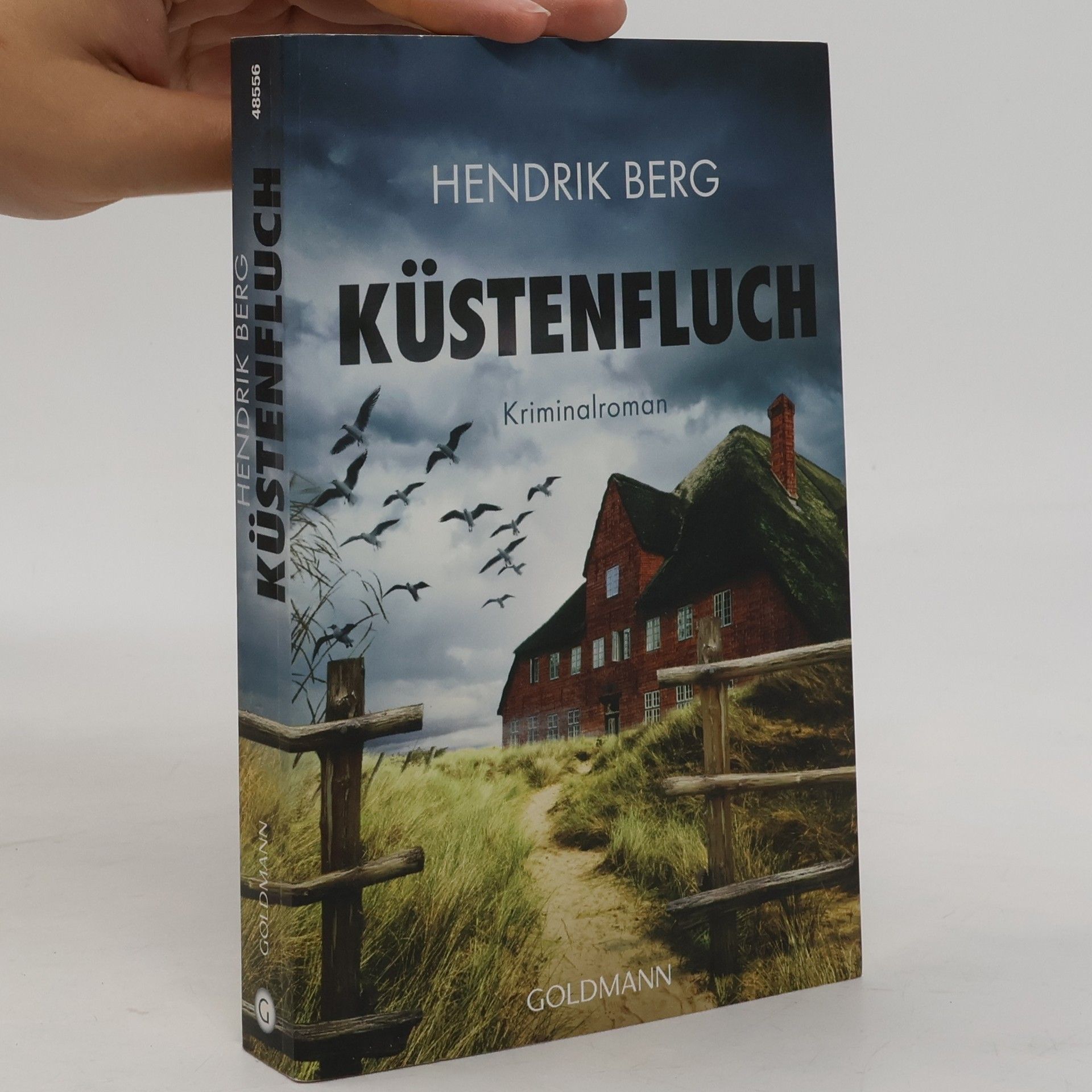 Hendrik Berg Küstenfluch