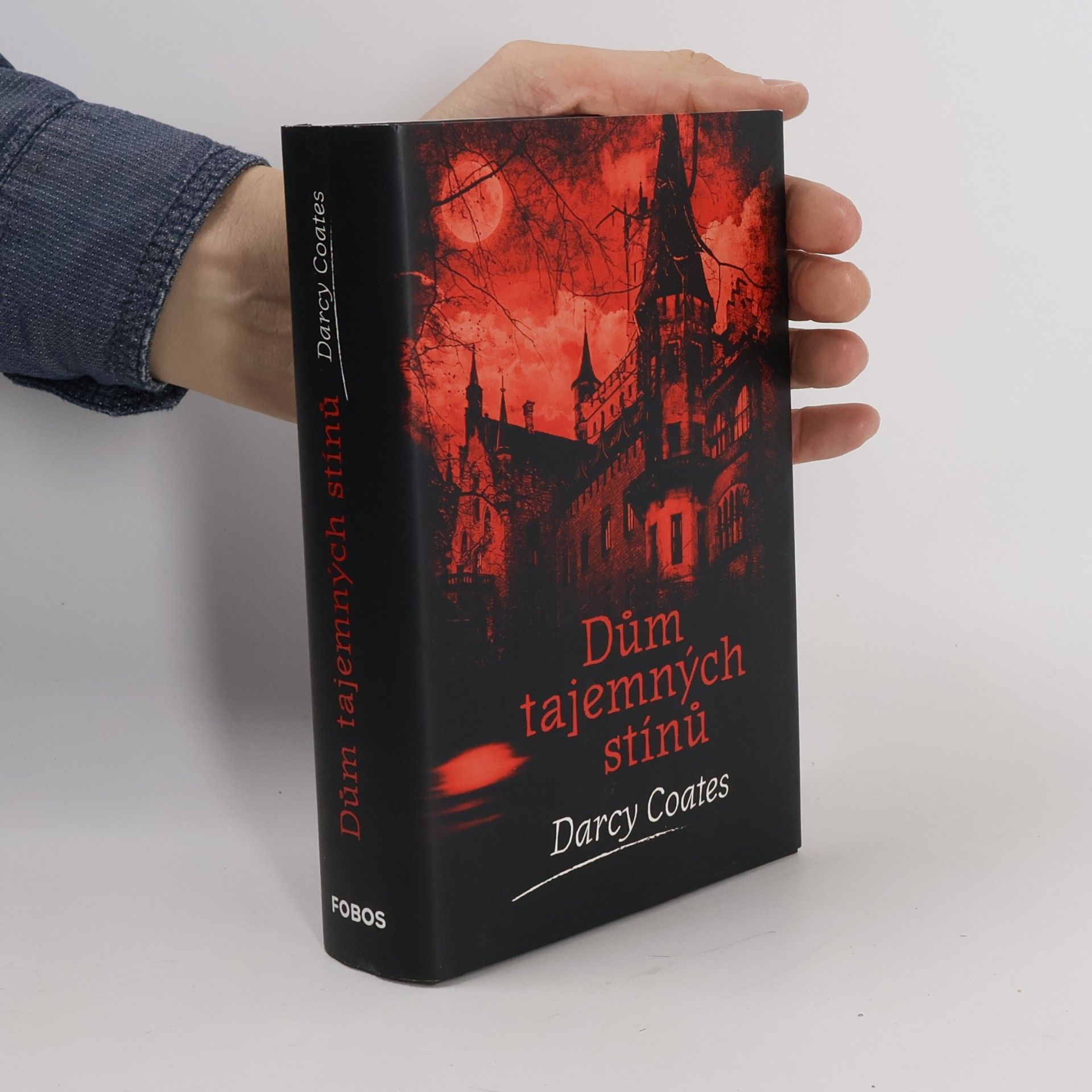 Andrea Krajíčková Dům tajemných stínů