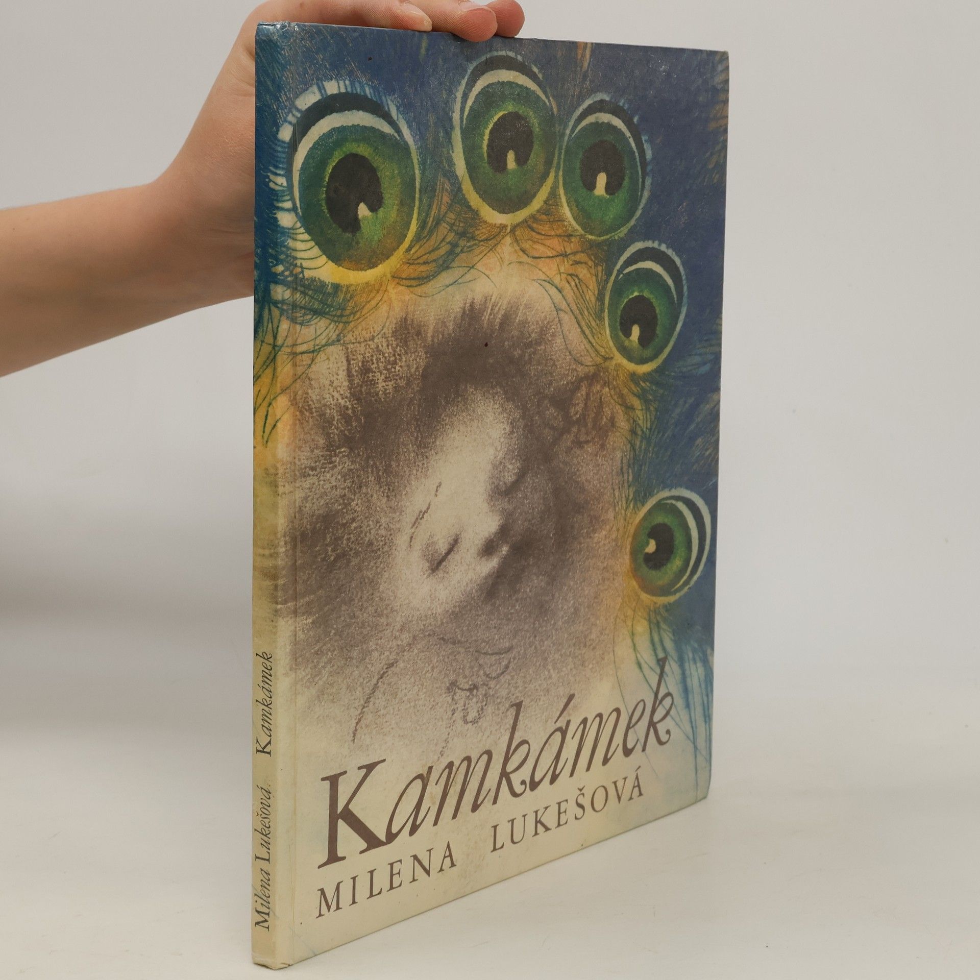 Milena Lukešová Kamkámek