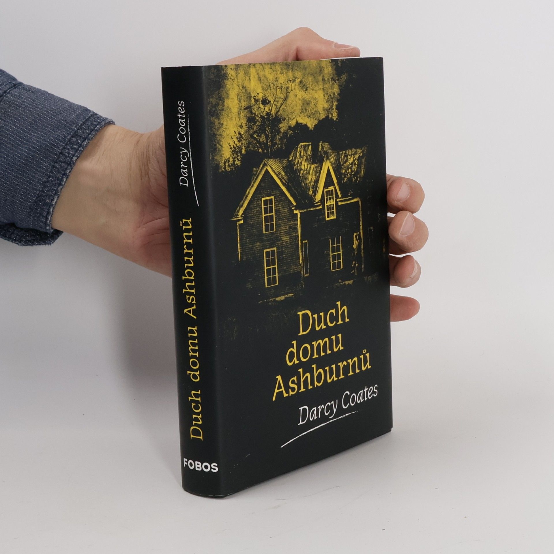 Darcy Coates Duch domu Ashburnů