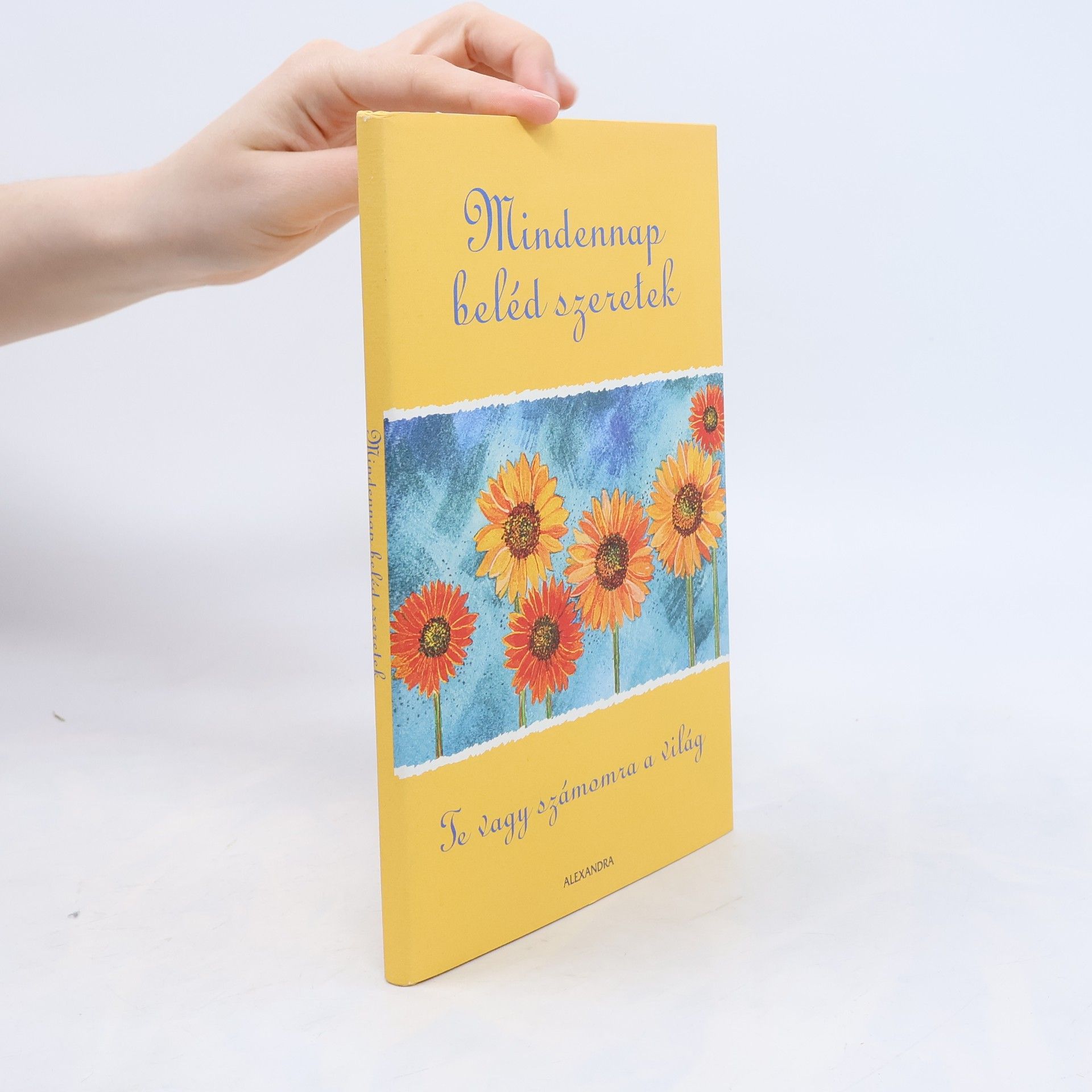 Autorenkollektiv Mindennap beléd szeretek