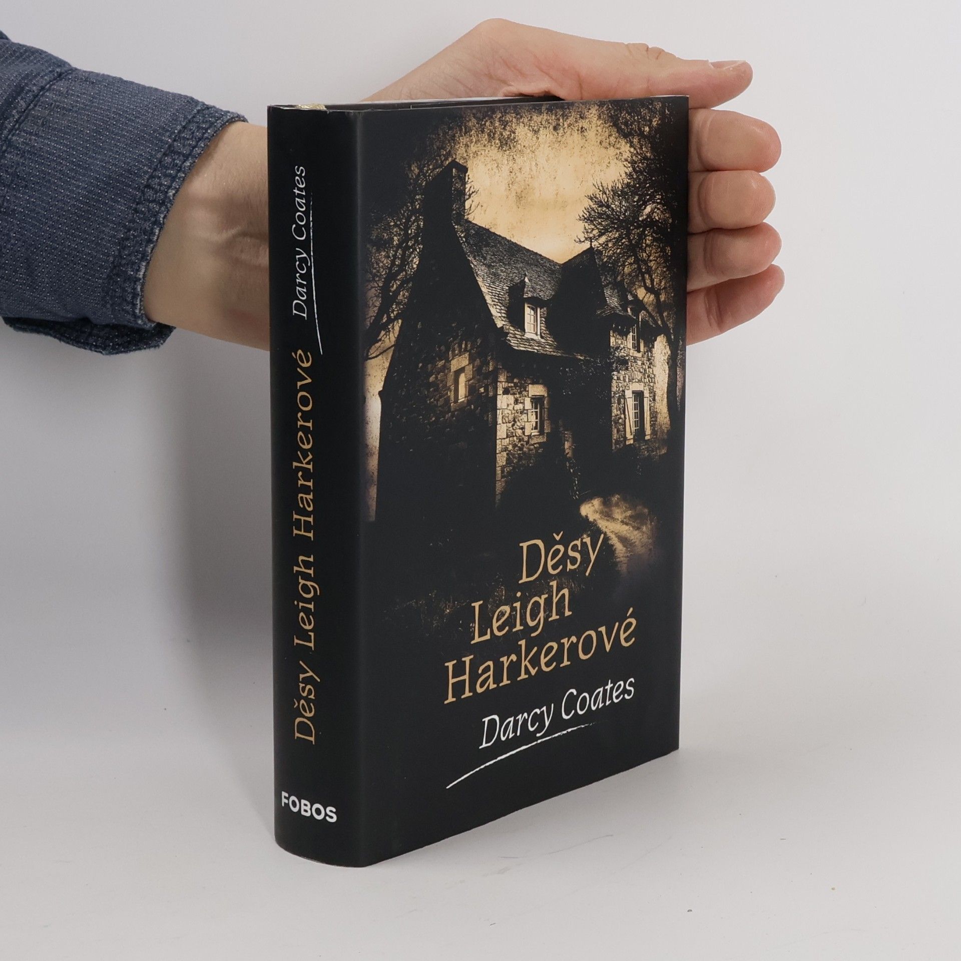 Darcy Coates Děsy Leigh Harkerové