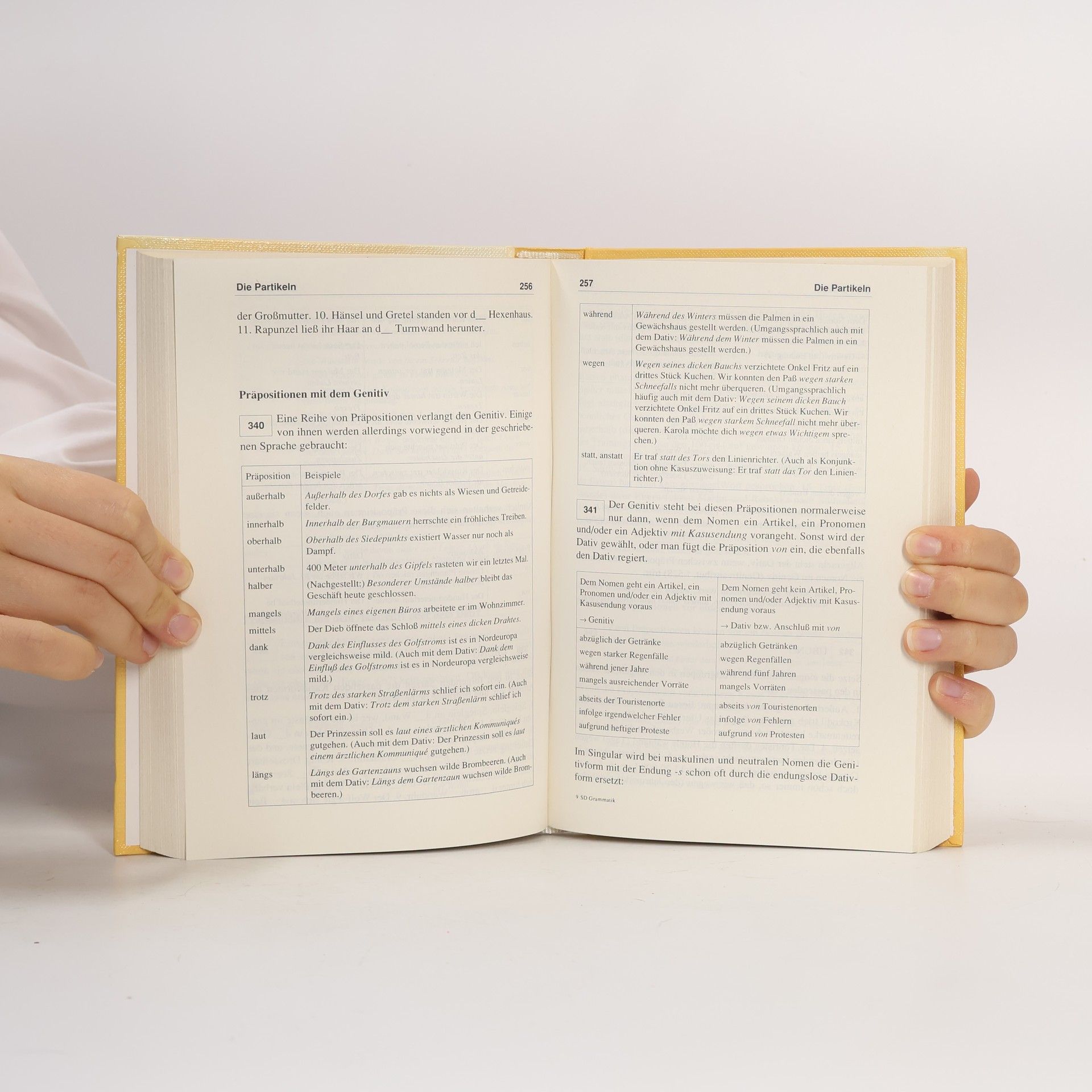 Horst Sitta Schülerduden Grammatik : eine Sprachlehre mit Übungen und Lösungen