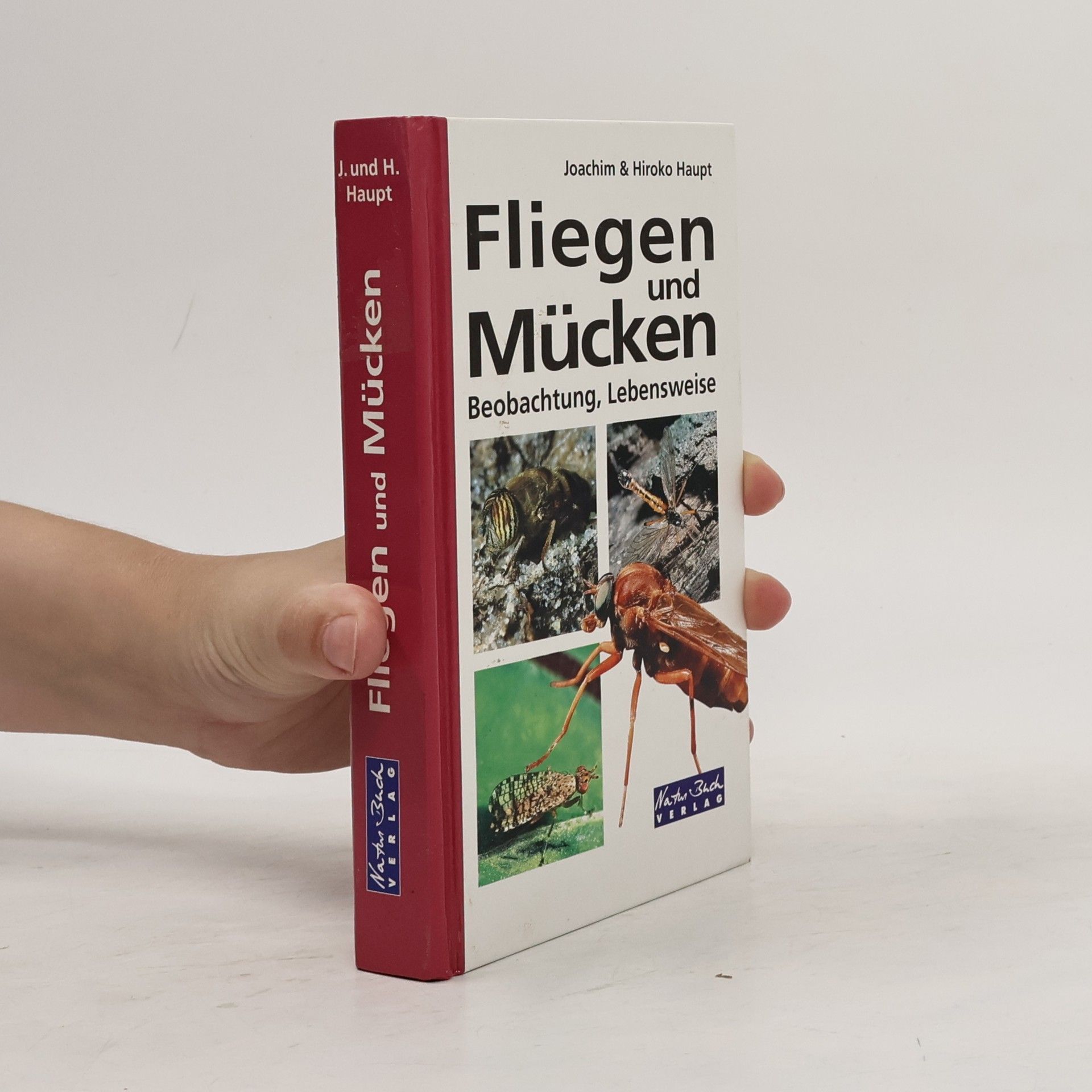 Joachim Haupt Fliegen und Mücken
