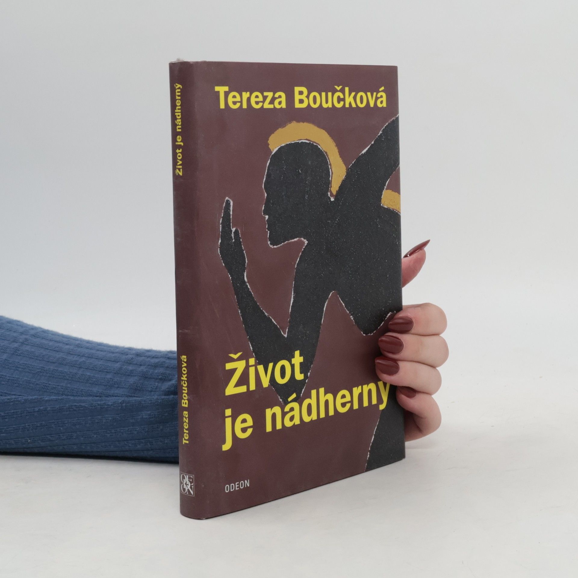 Tereza Boučková Život je nádherný