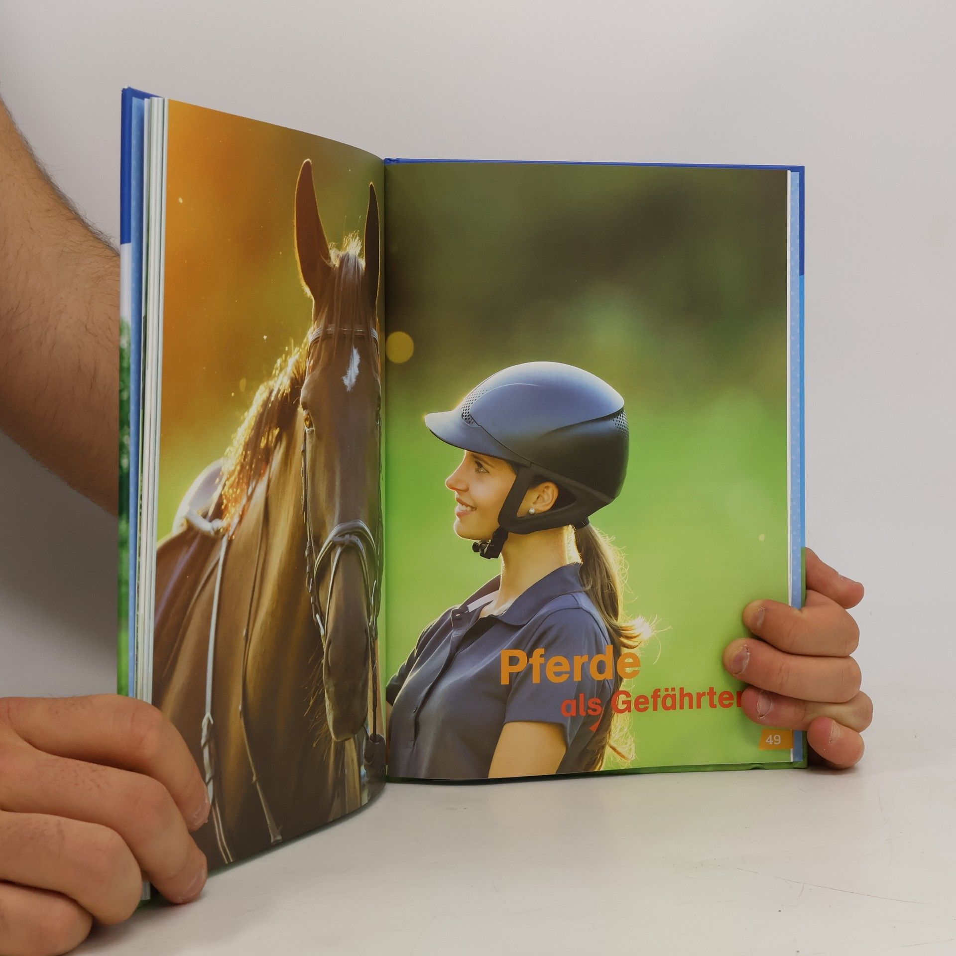 Christina Braun Pferde und Ponys