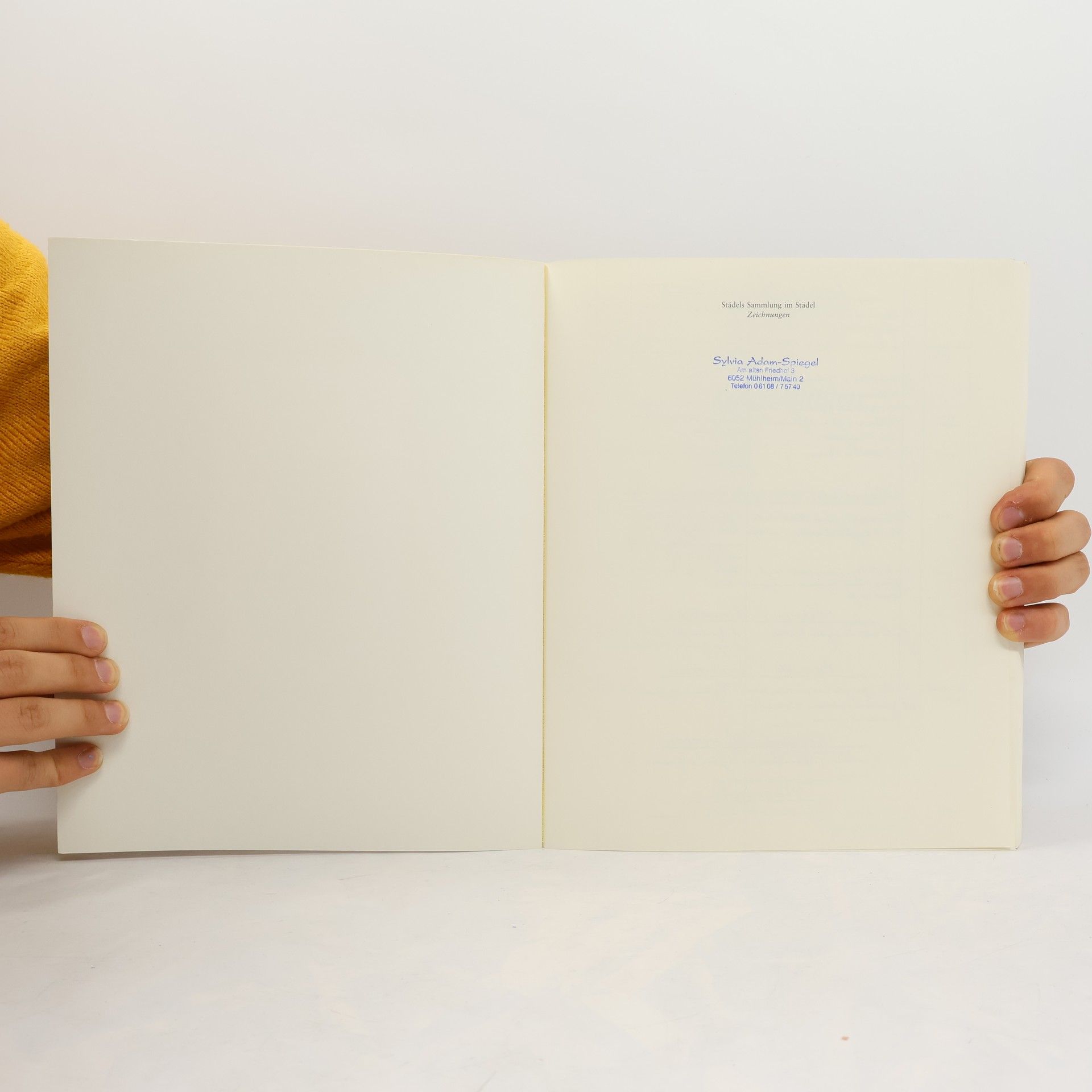 Kolektiv autorů Städels Sammlung im Städel. Zeichnungen