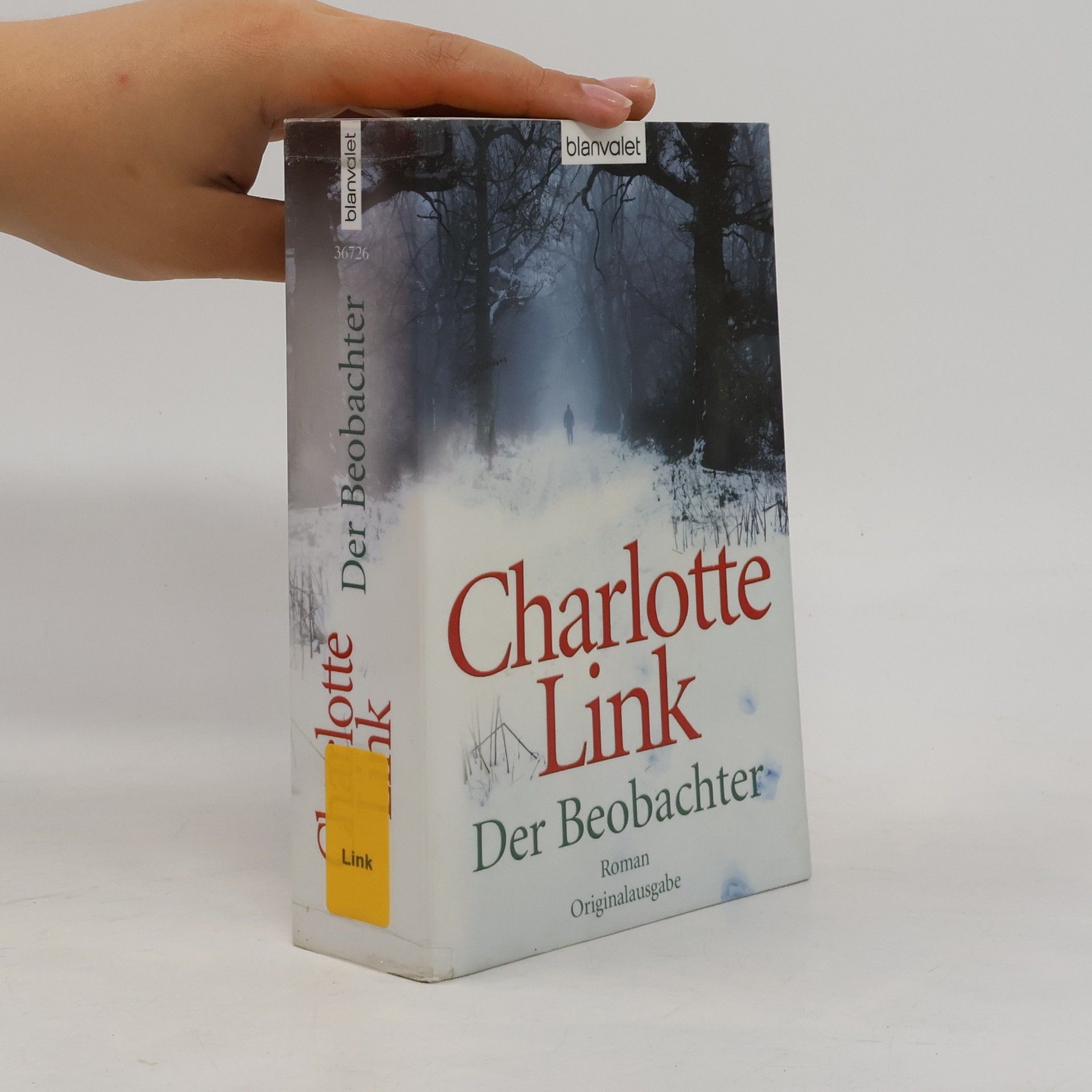 Der Beobachter : Roman