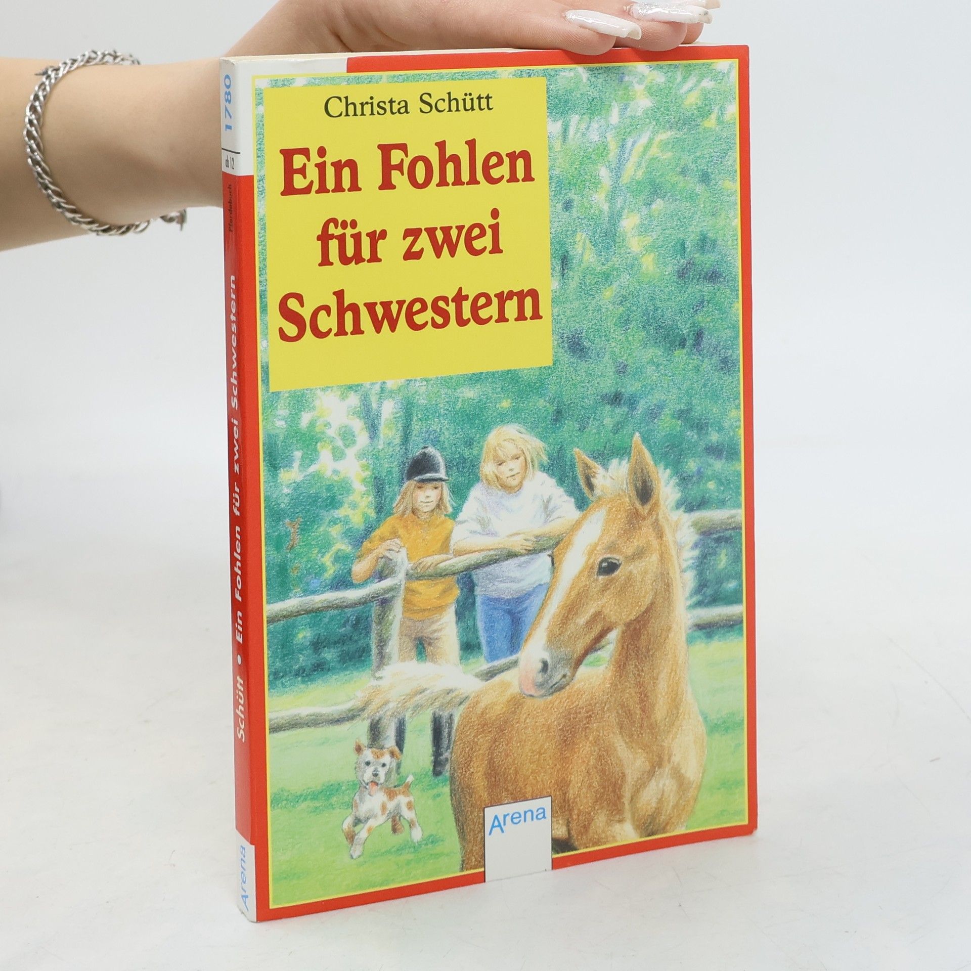 Ein Fohlen für zwei Schwestern