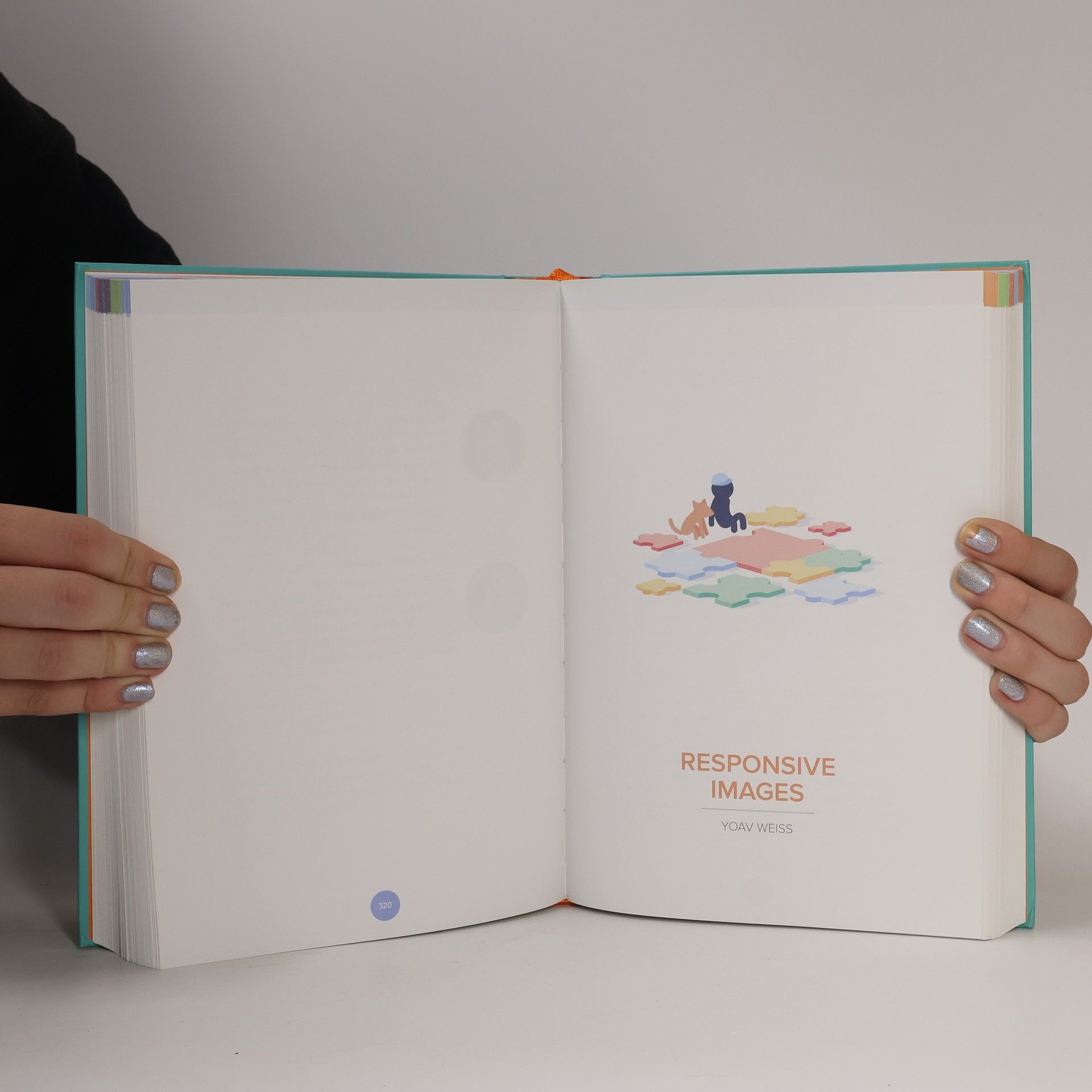Andrew Clarke The Smashing Book 5 : real-life responsive web design