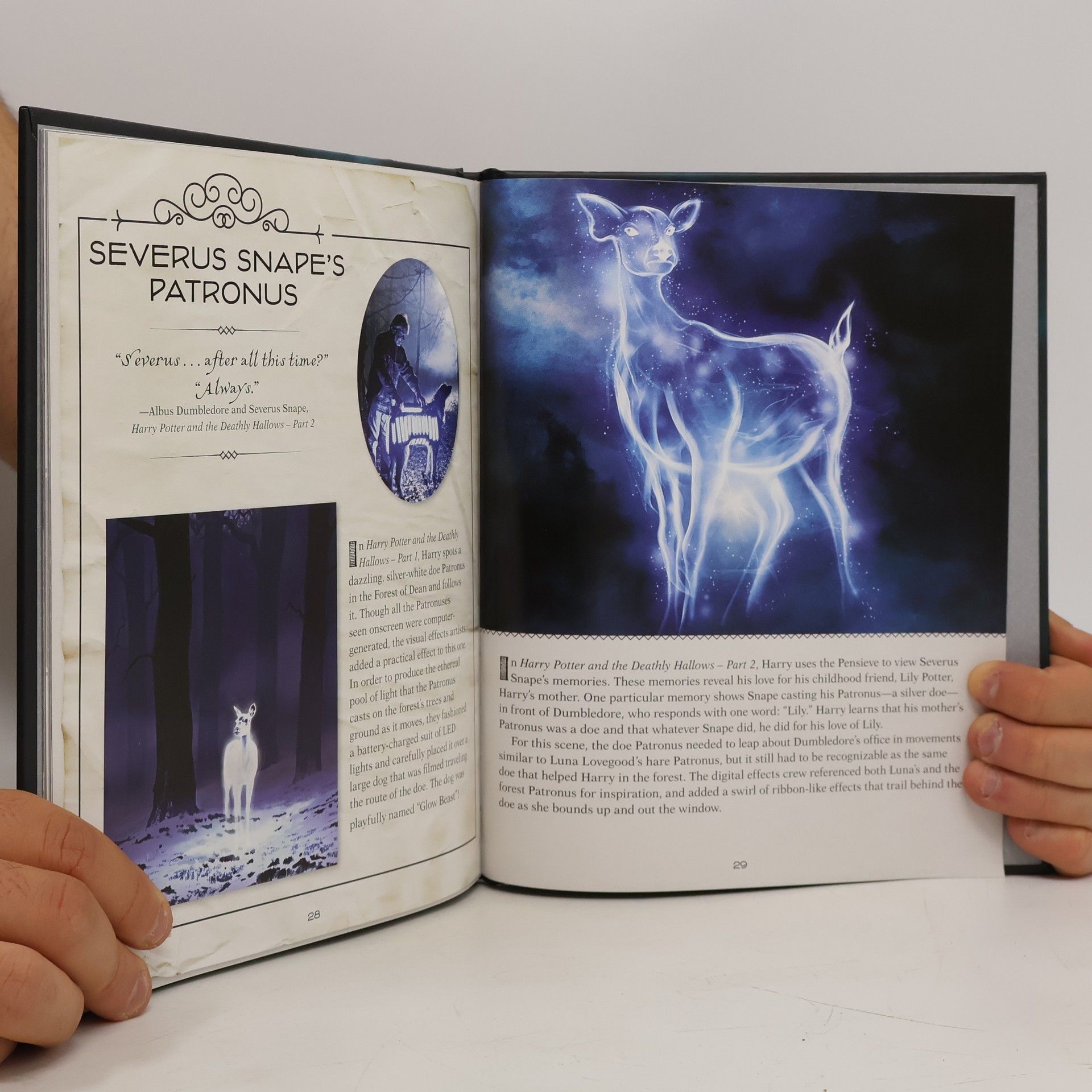 Jody Revenson Harry Potter. Stag Patronus