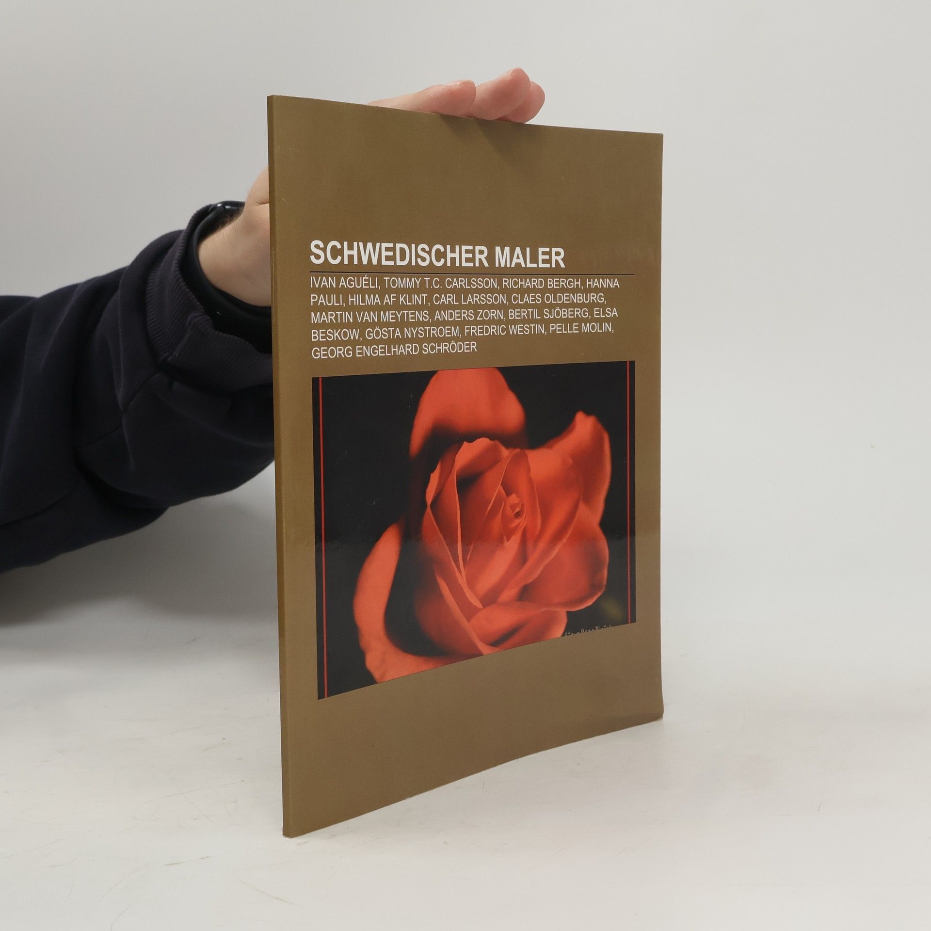 Schwedischer Maler