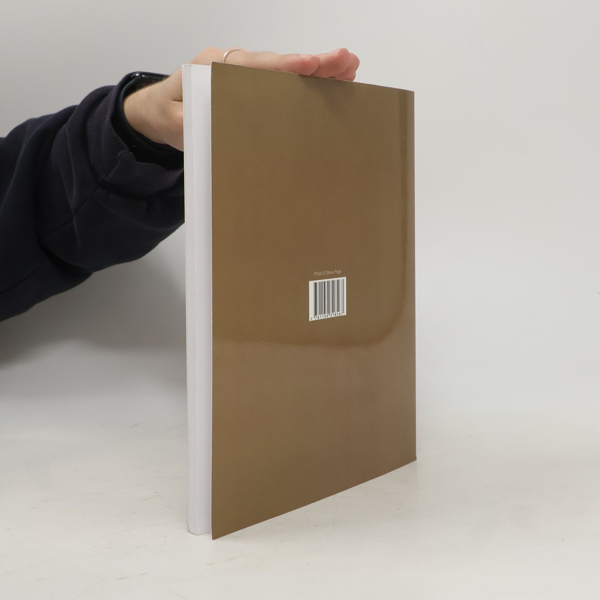 Books LLC Schwedischer Maler