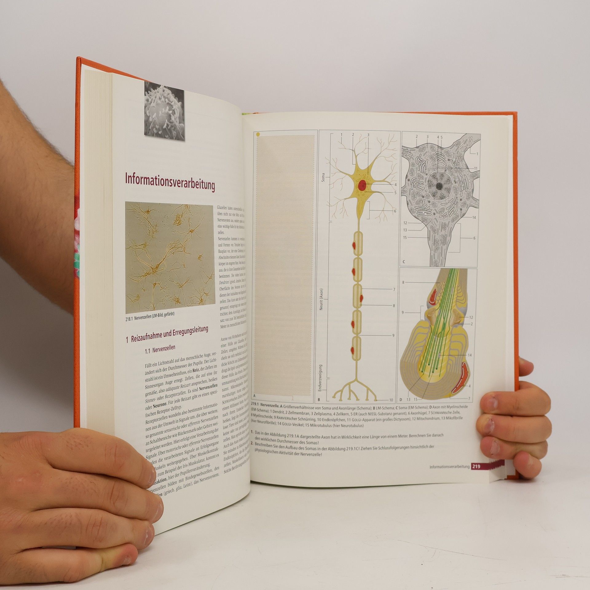 Kolektiv autorů Biologie heute entdecken