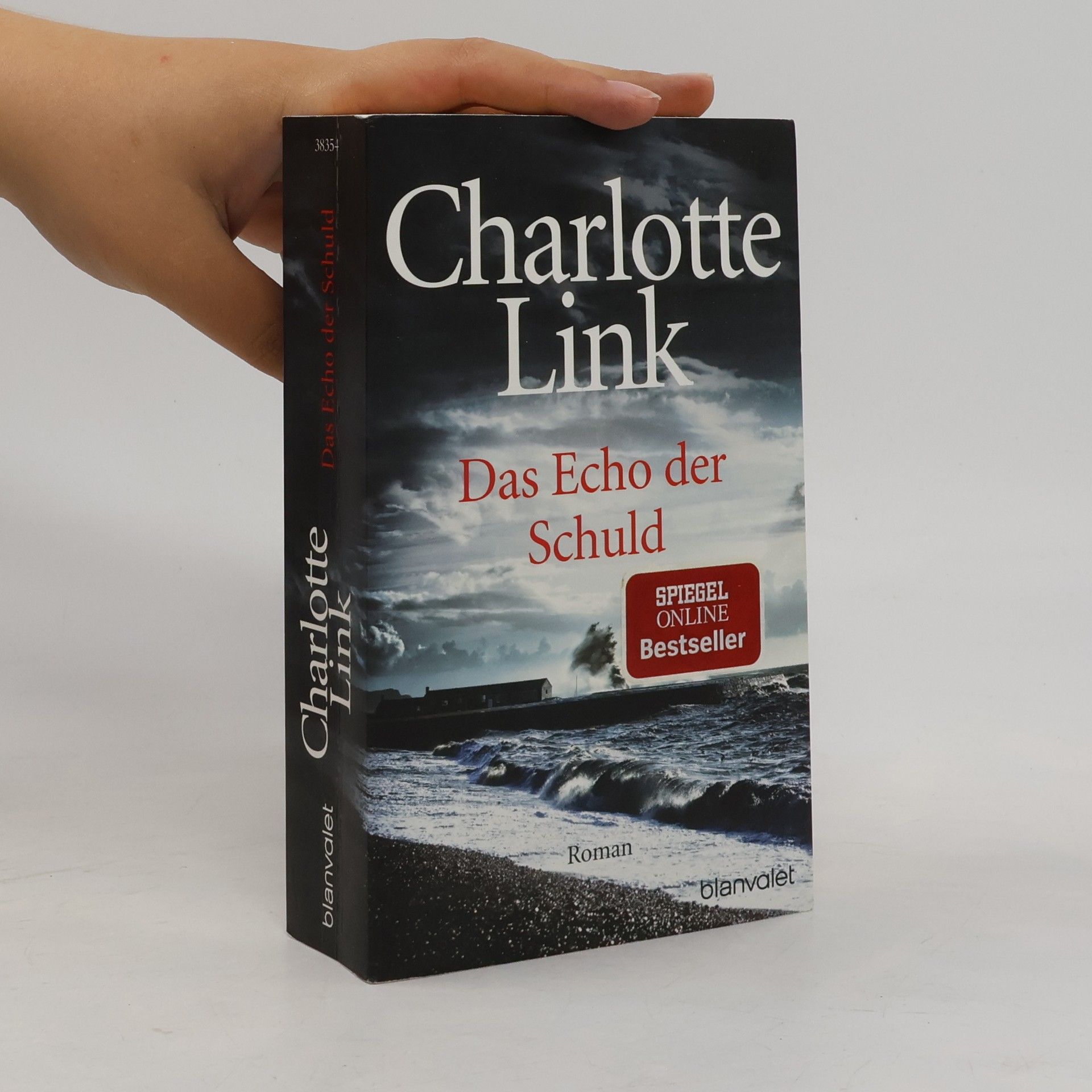 Charlotte Link Das Echo der Schuld