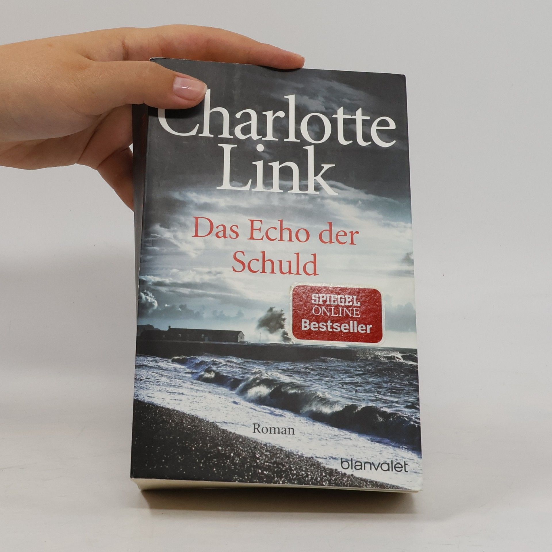 Charlotte Link Das Echo der Schuld