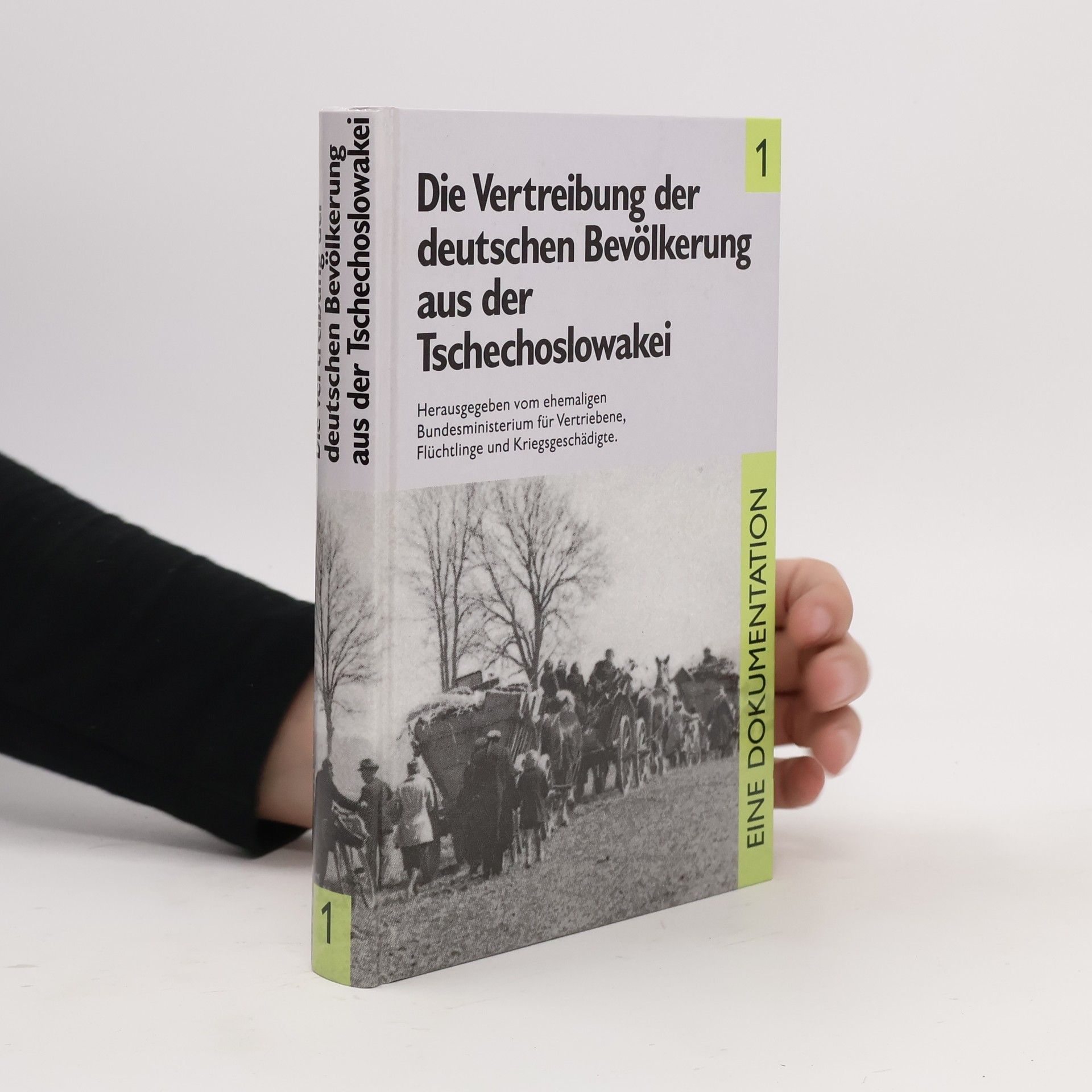Kolektiv autorů Die Vertreibung der deutschen Bevölkerung aus der Tschechoslowakei 1