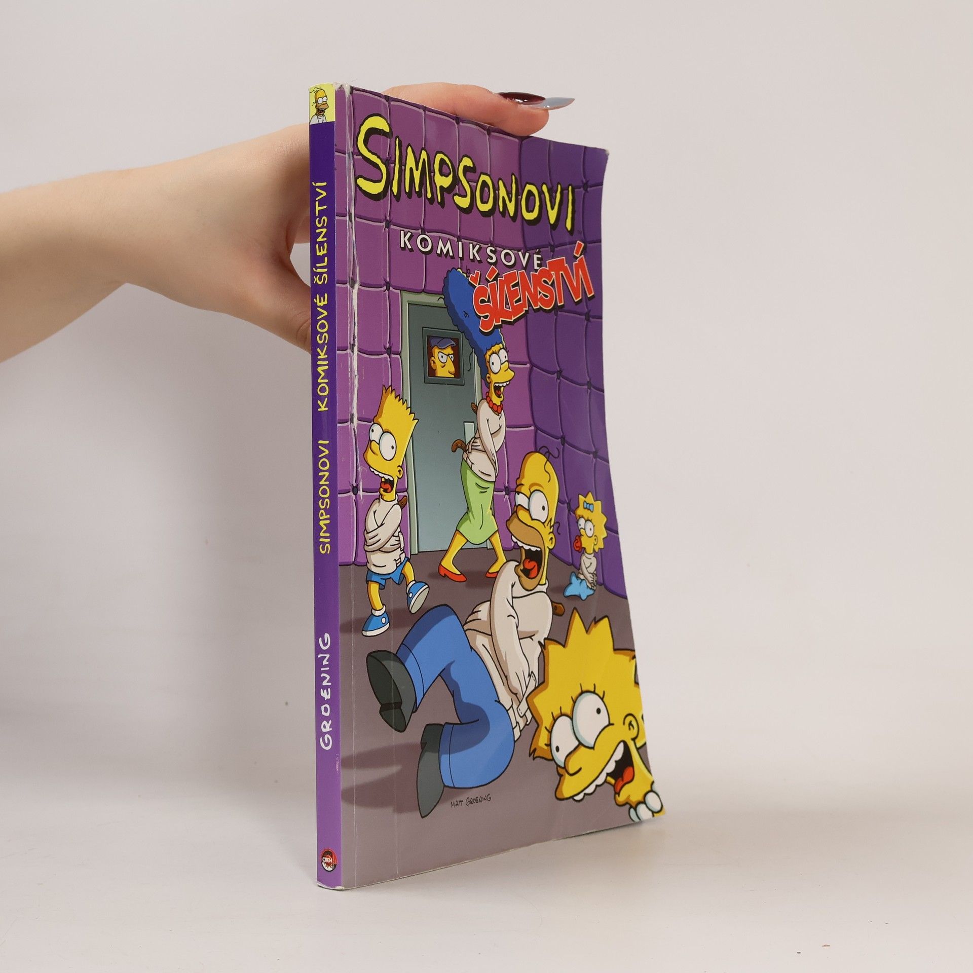 Matt Groening Simpsonovi, Komiksové šílenství