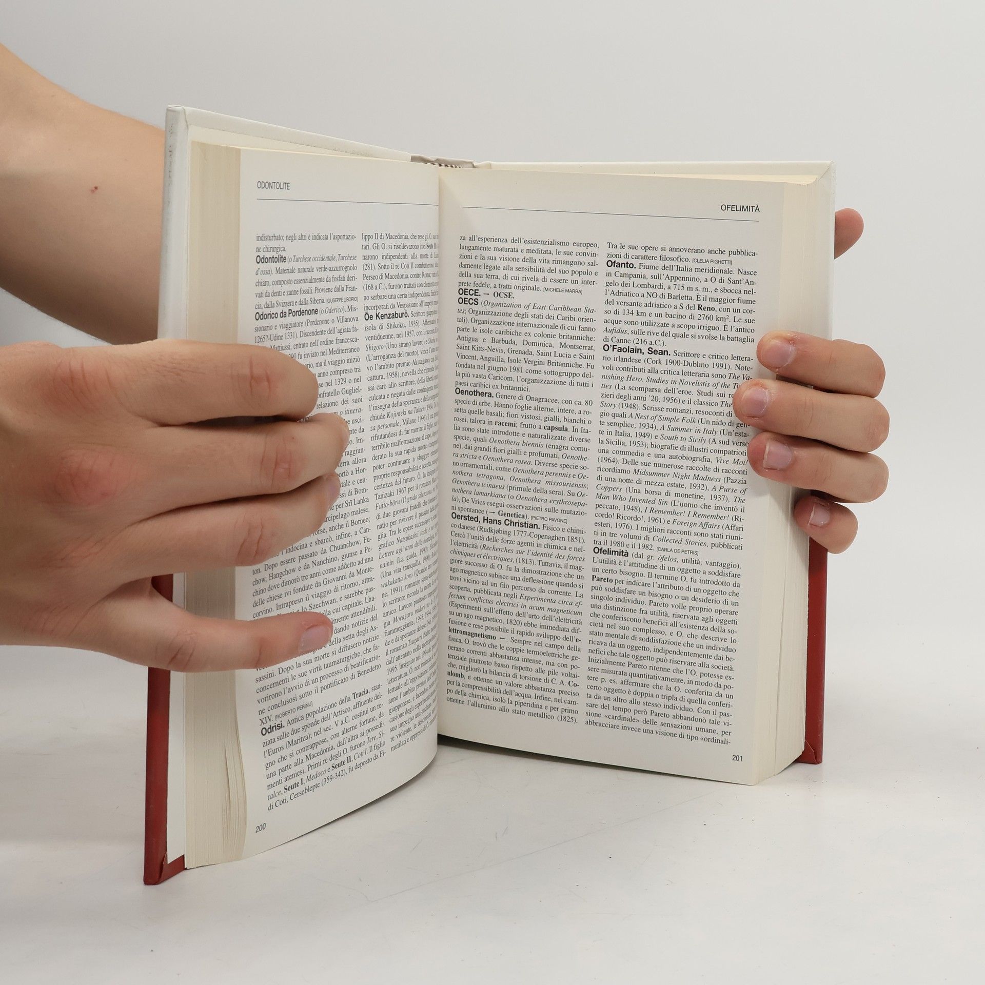 Kolektiv autorů L'Enciclopedia 15