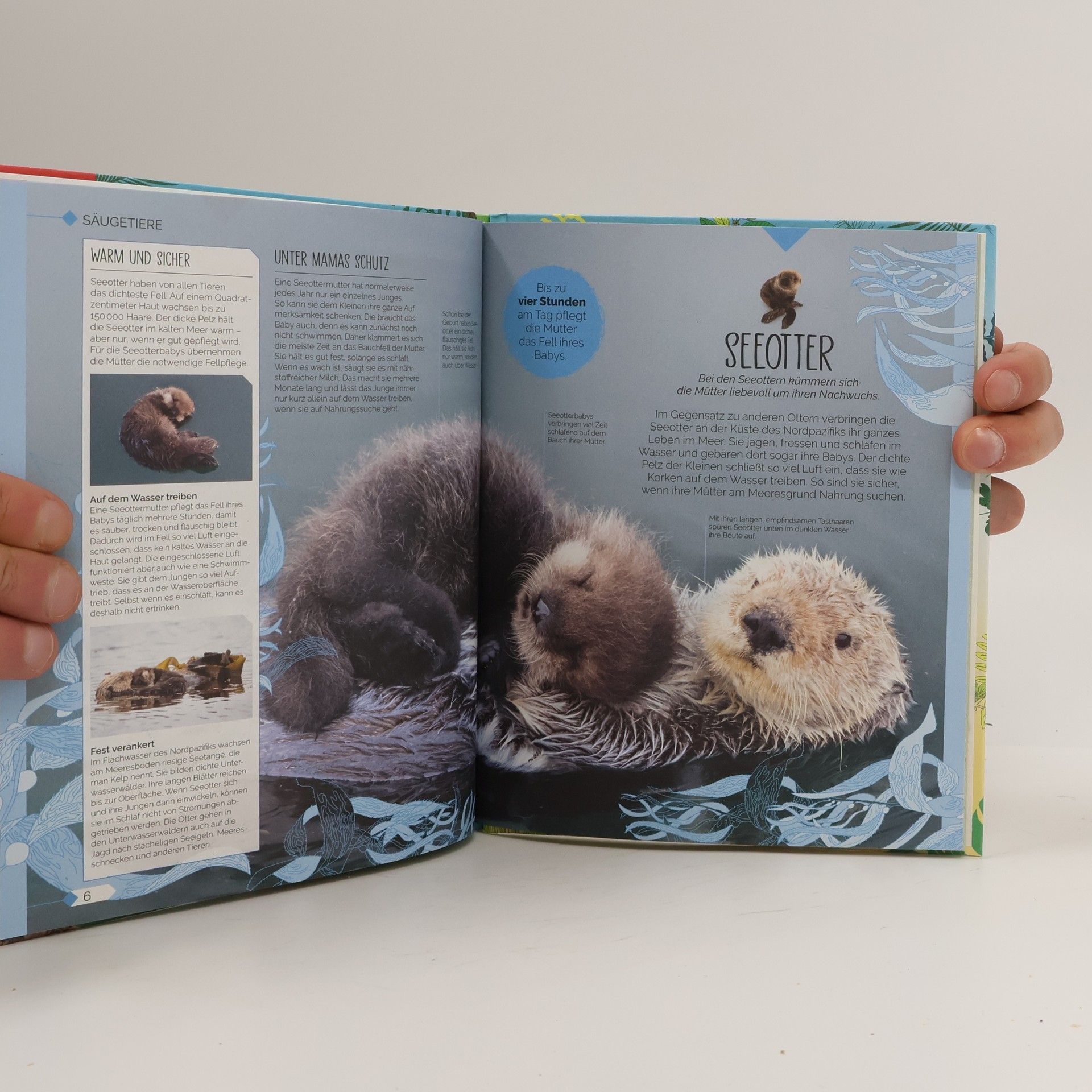 Autorenkollektiv Tierkinder der Wildnis