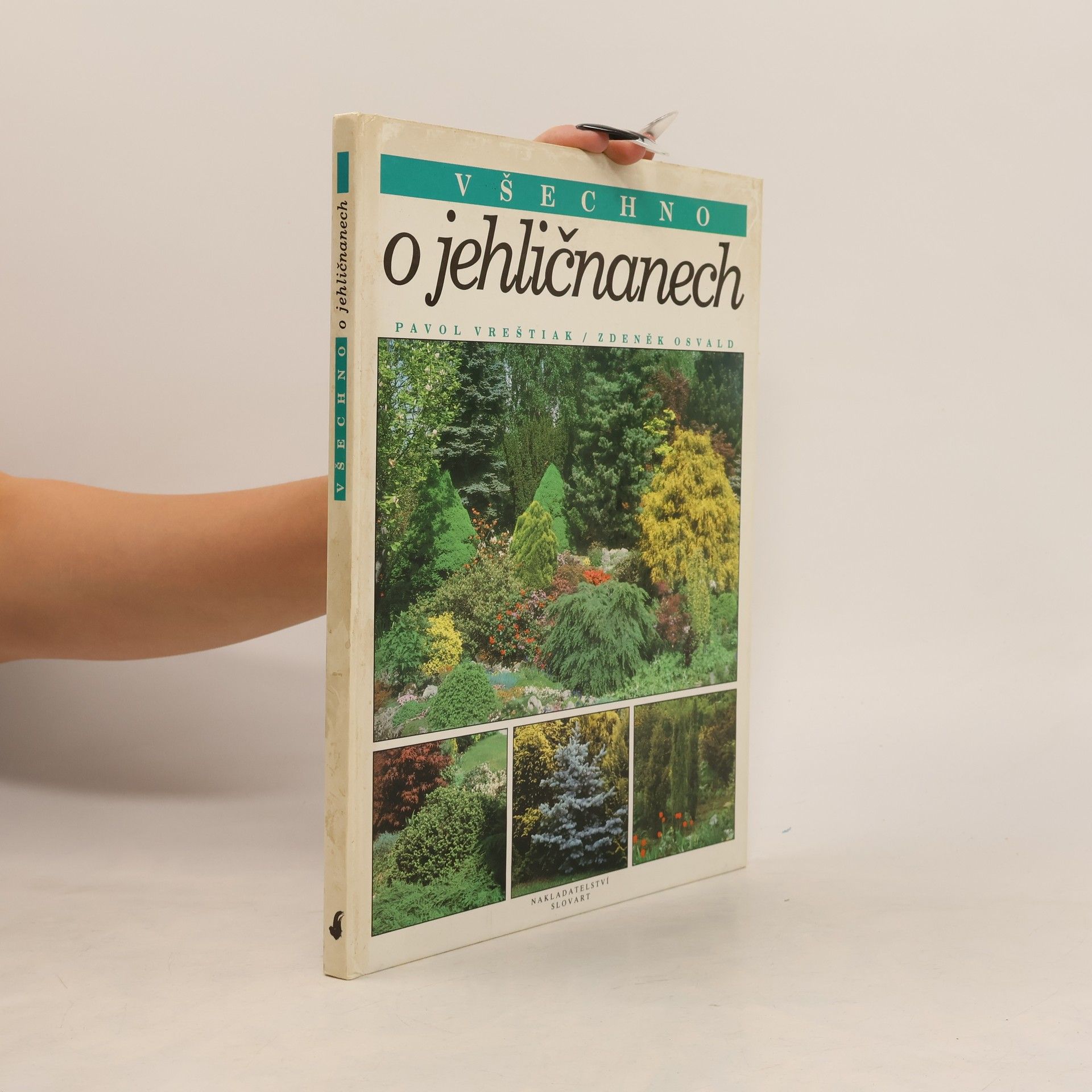 Všechno o jehličnanech