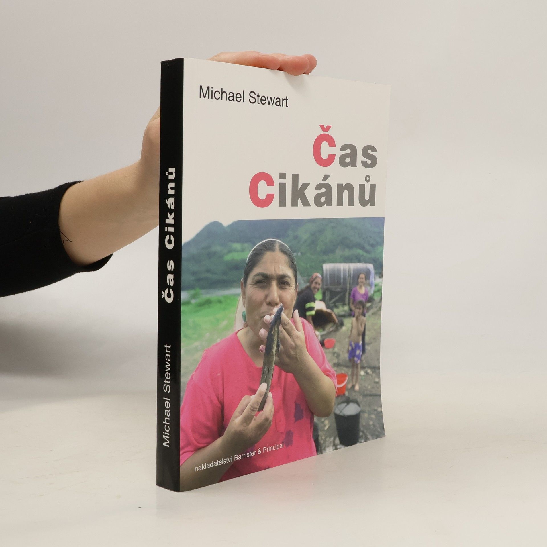 Michael Stewart Čas cikánů